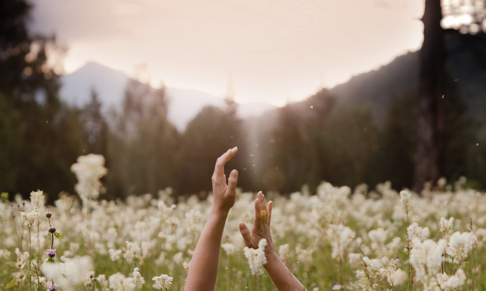 1:1 Quantum Energy Session