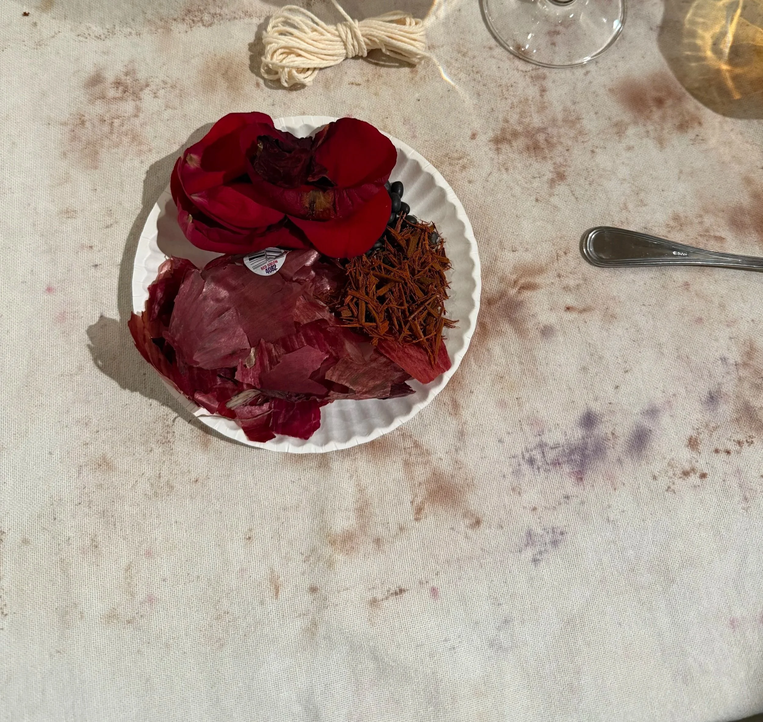 Natural dye textile exploration using botanical materials.
