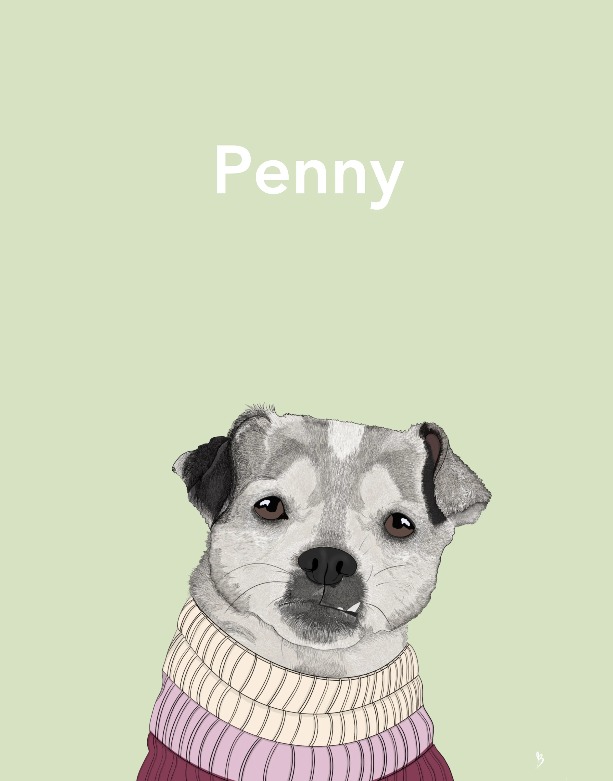 Custom pet portraits created in Procreate.