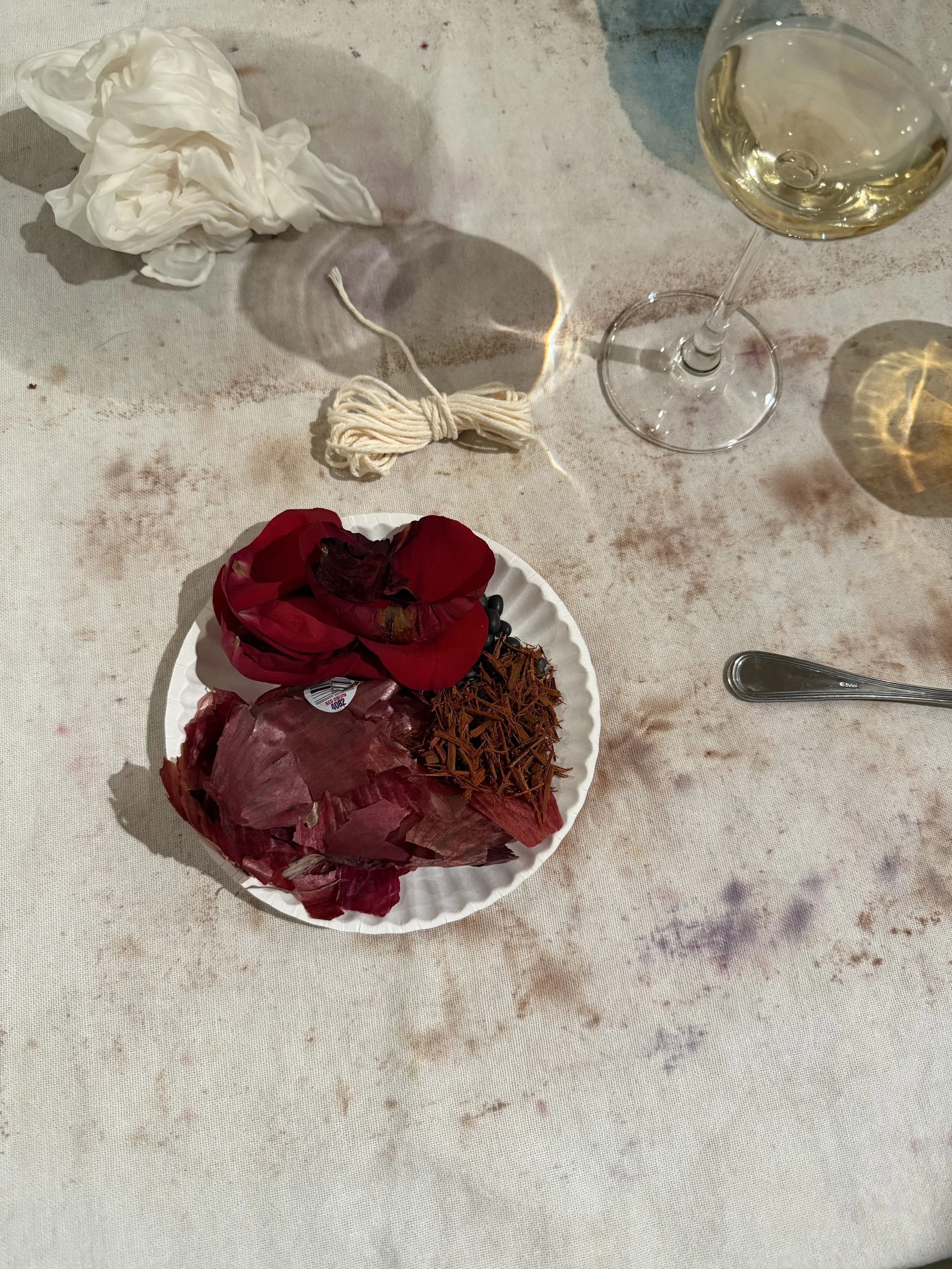 Natural dye textile exploration using botanical materials.