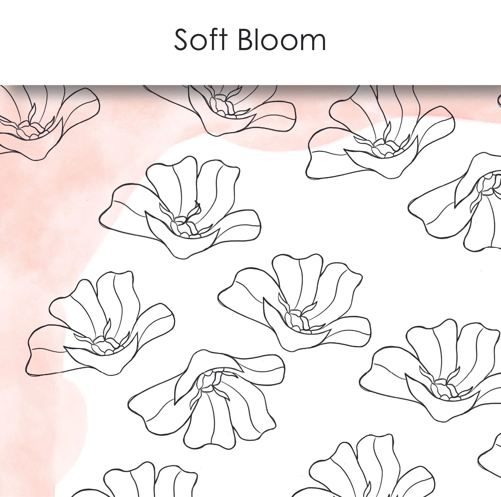 Surface pattern designs created in Procreate & Adobe Illustrator.