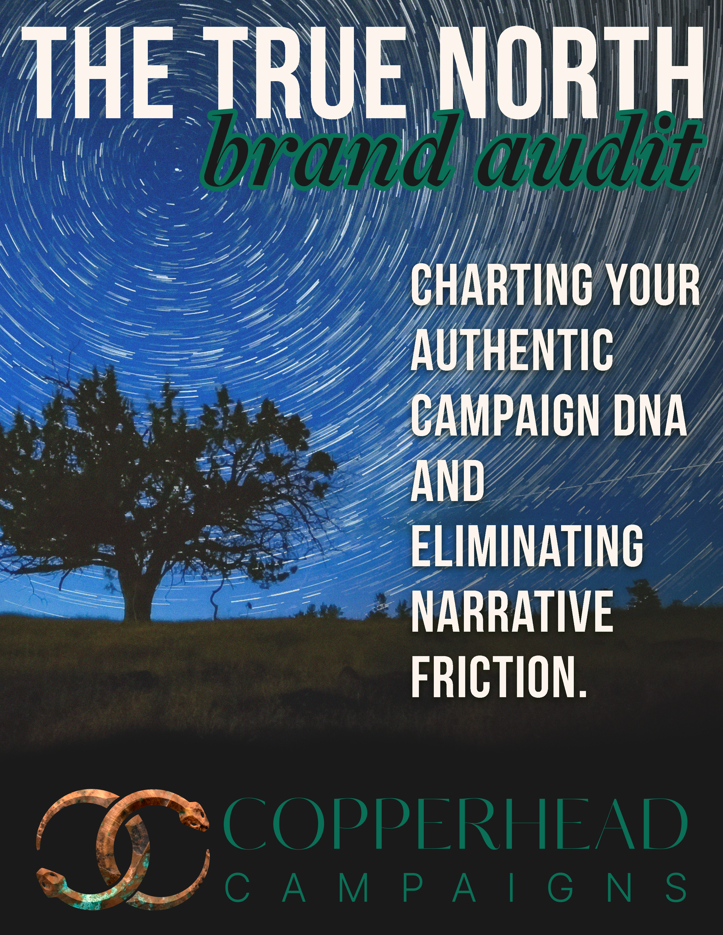 The cover to the free PDF, The True North Brand Audit. Title text appears over a long exposure image of the North Star surrounded by the streaks of stars circling Polaris.
