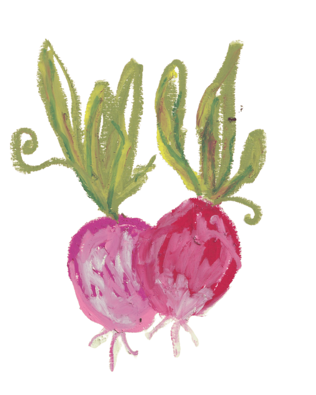 Hand-drawn illustration of a pink radish with green leafy tops.