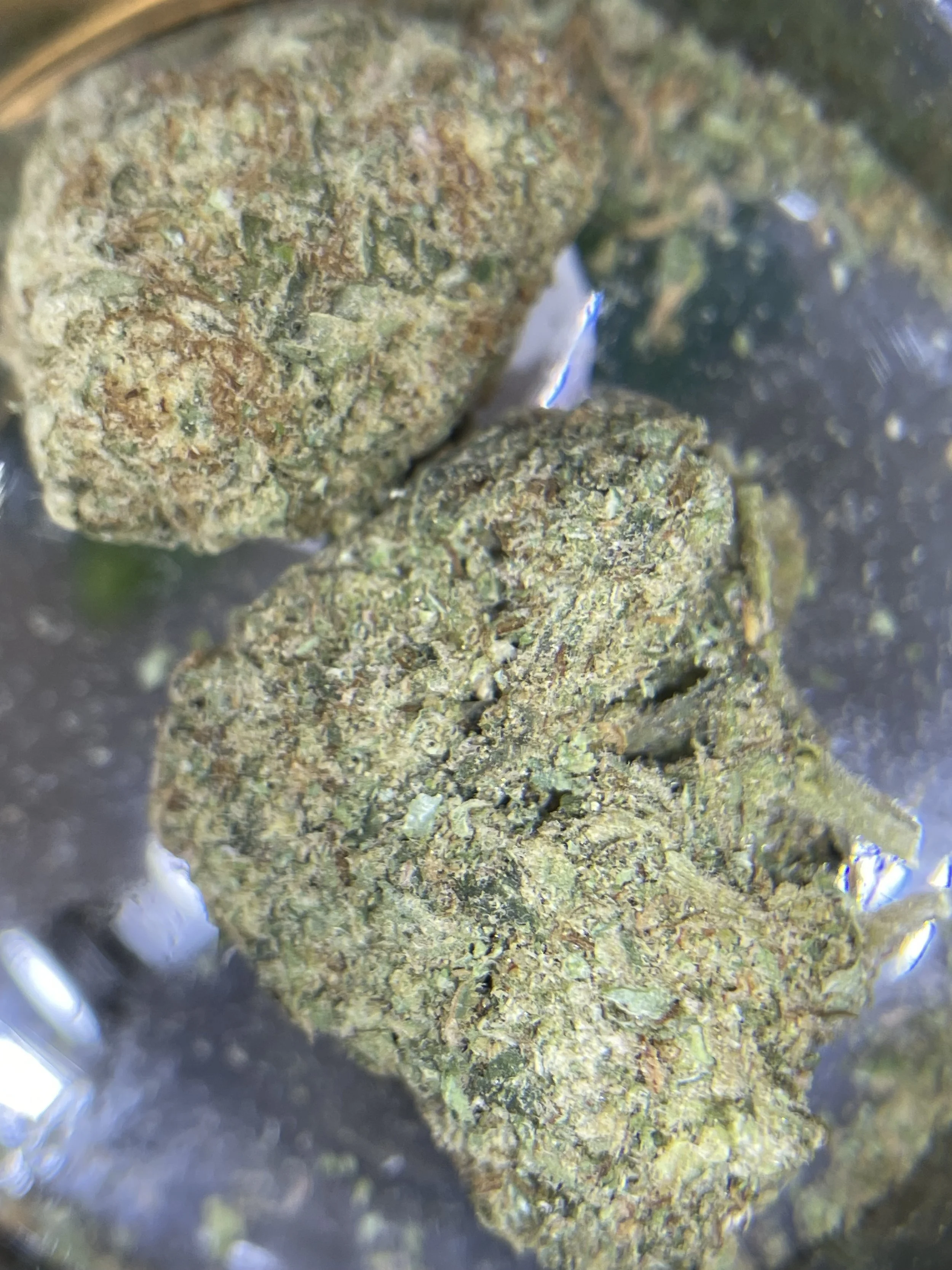 IMG_7546.jpeg