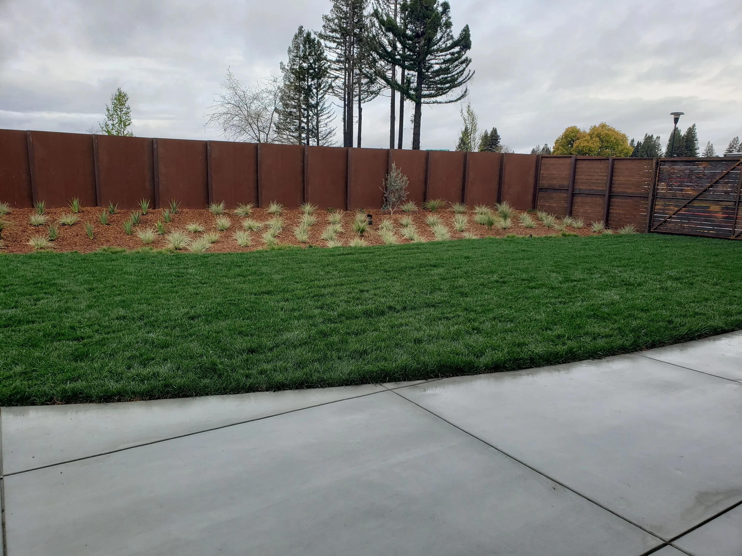 A backyard with a well-maintained grassy lawn, a mulched garden bed with small plants, a wooden fence, and tall trees in the background. The sky is cloudy.