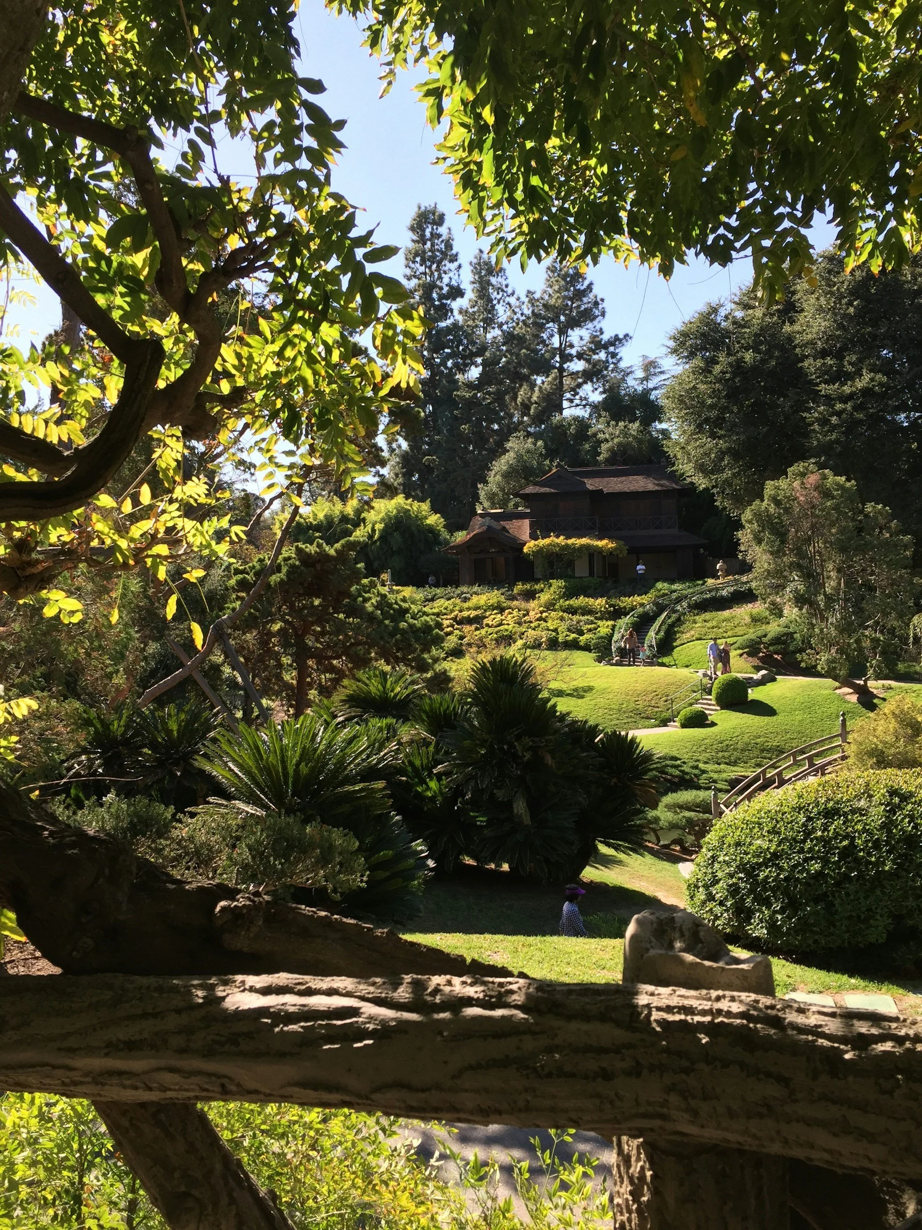 A traditional wooden Japanese house surrounded by lush green trees and a well-manicured garden, viewed through a wooden fence and tree branches.