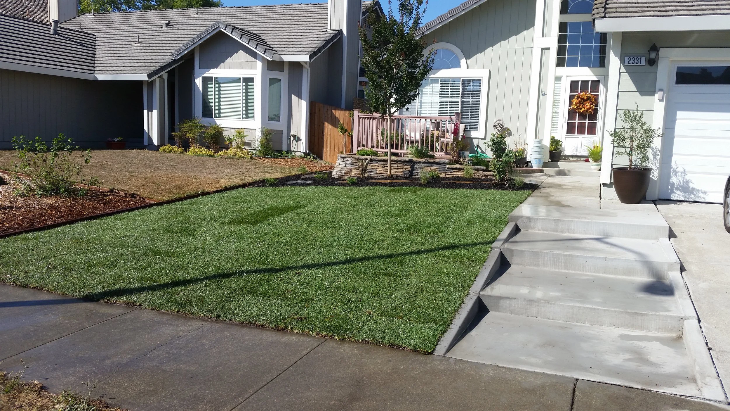 Front yard view of a house with a new green lawn, a small tree, potted plants, and a concrete pathway with stairs leading to the front door.