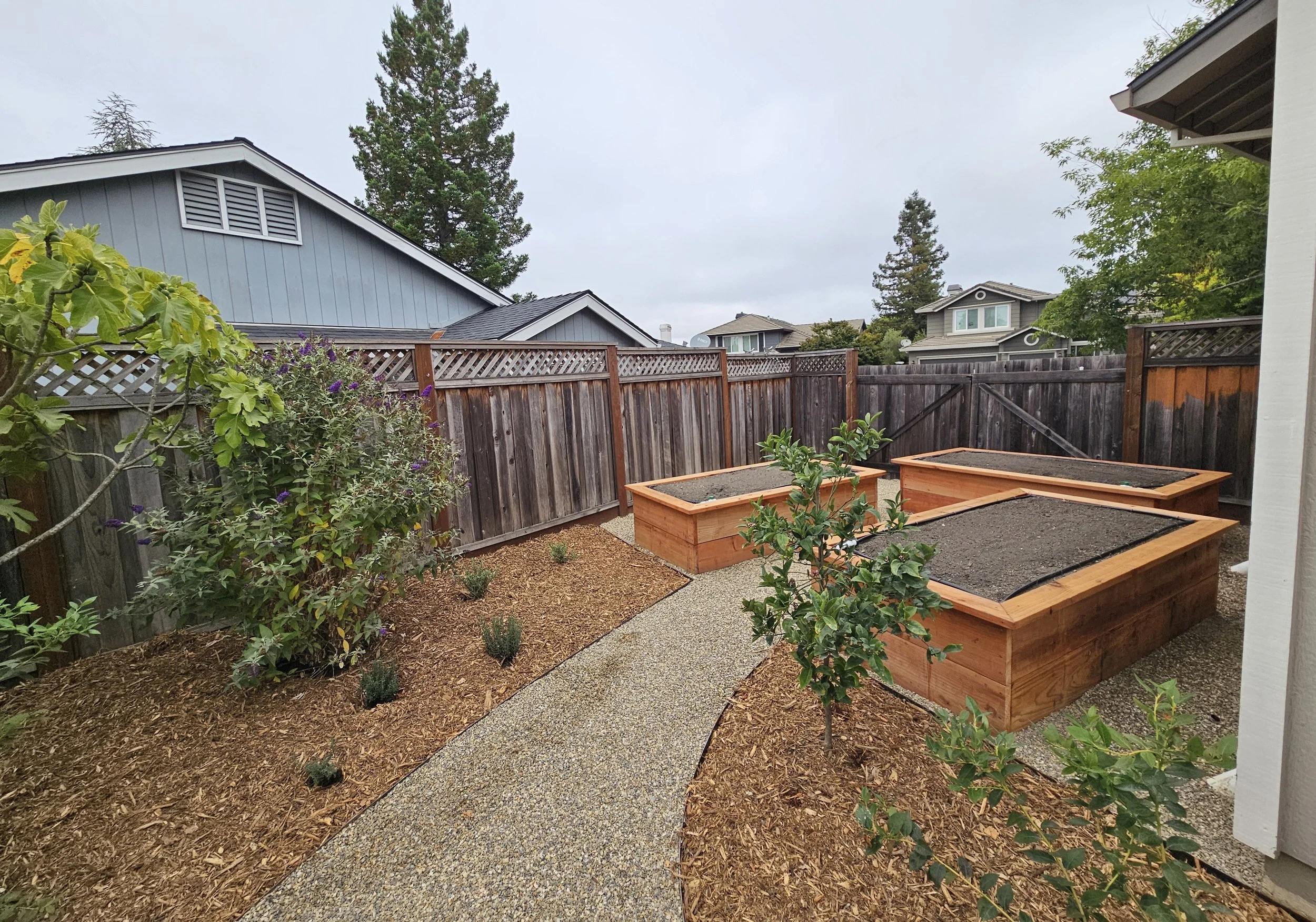 Backyard garden with raised plant beds, small shrubs, and trees, enclosed by a wooden fence in a suburban neighborhood.