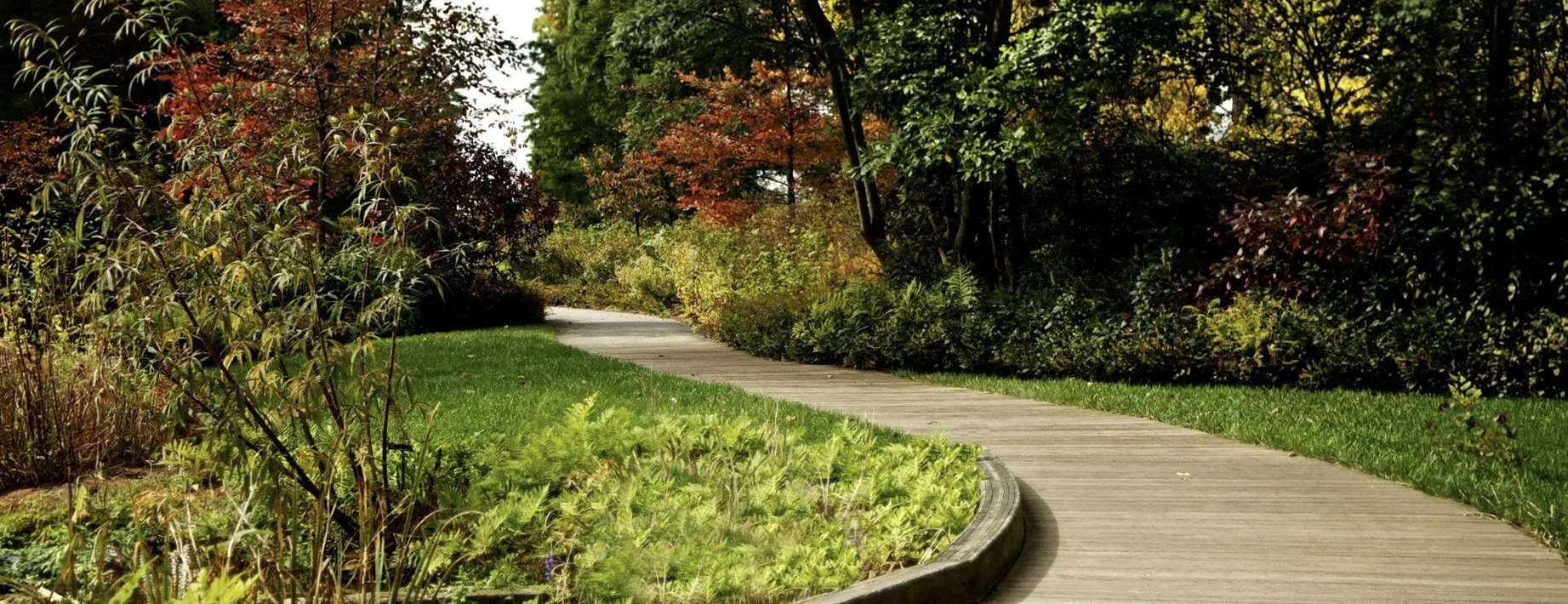 Winding wooden pathway through lush garden with colorful autumn trees and green shrubs.