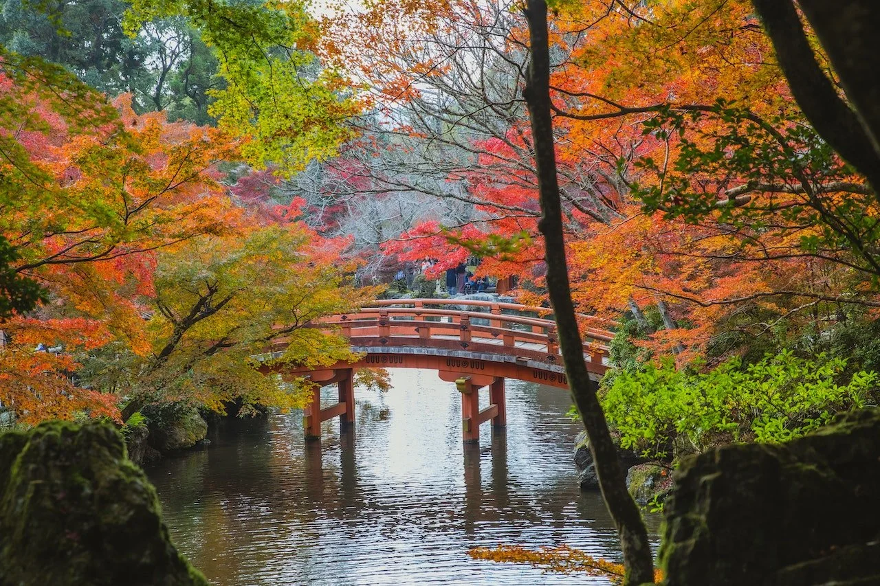 pexels-ryutaro-tsukata-6249515 (1).jpg