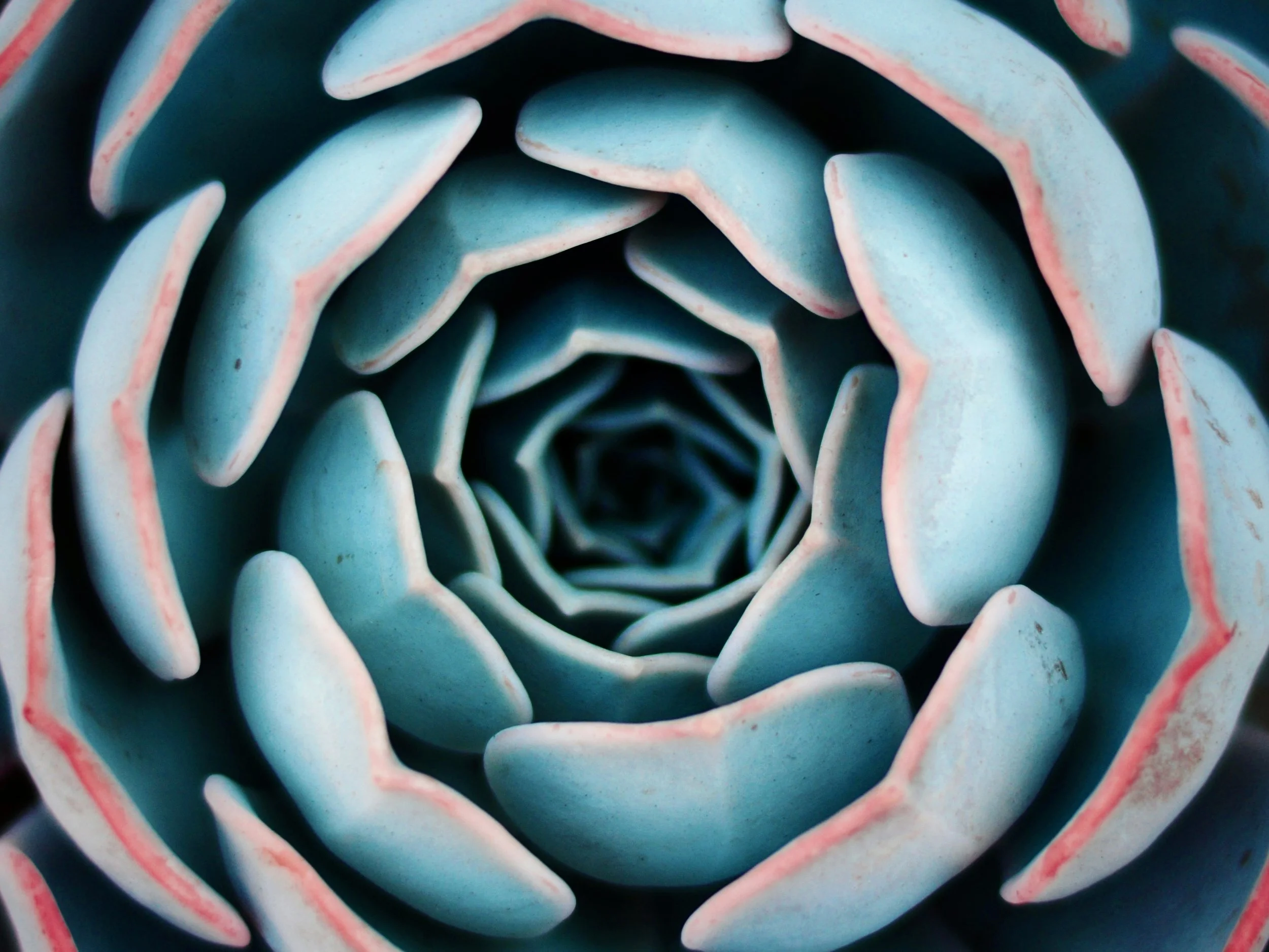 Holistic Depth Therapy