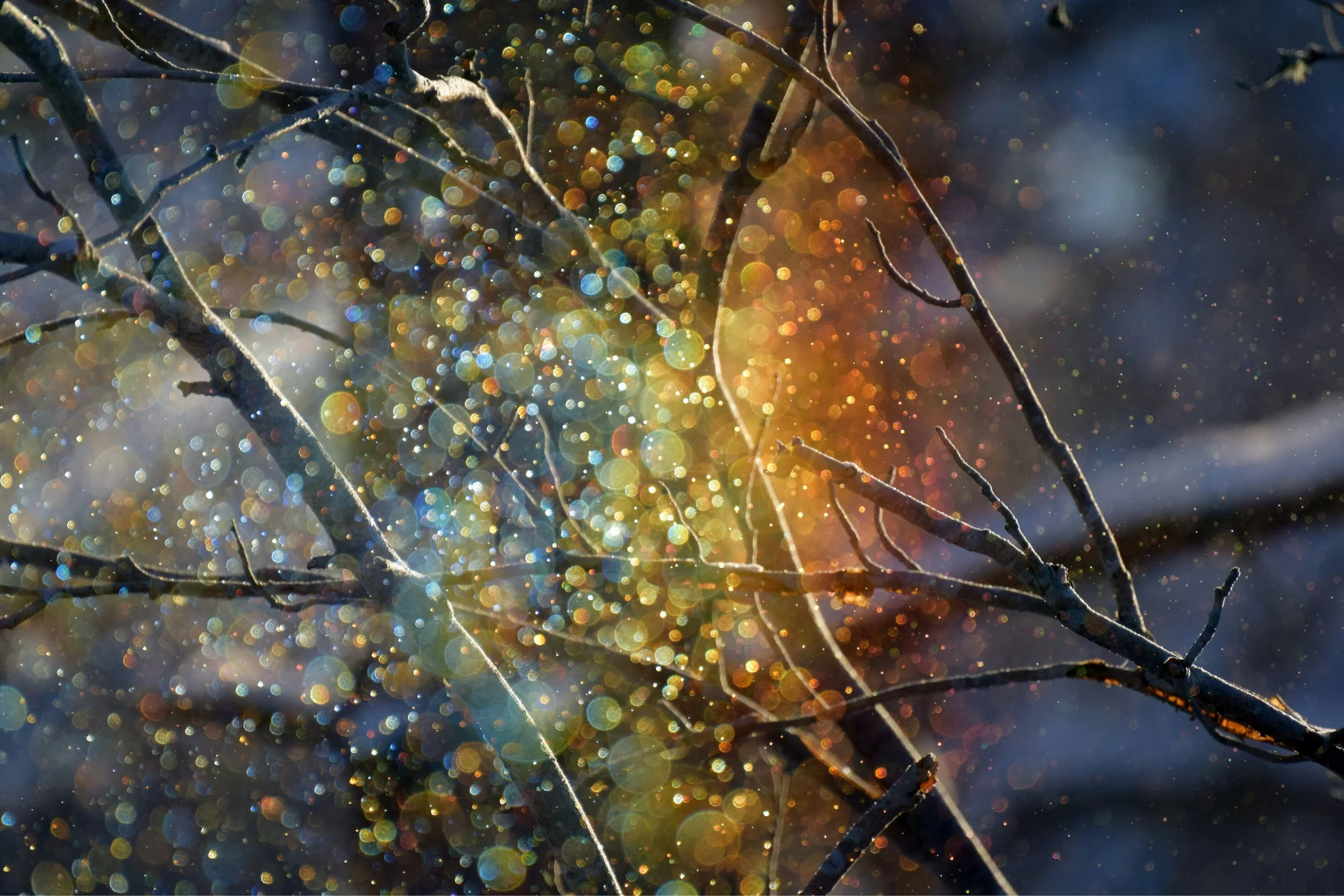 Transforming and Harnessing the Power of Anxiety  (Part 2):  Our Inner Diamond