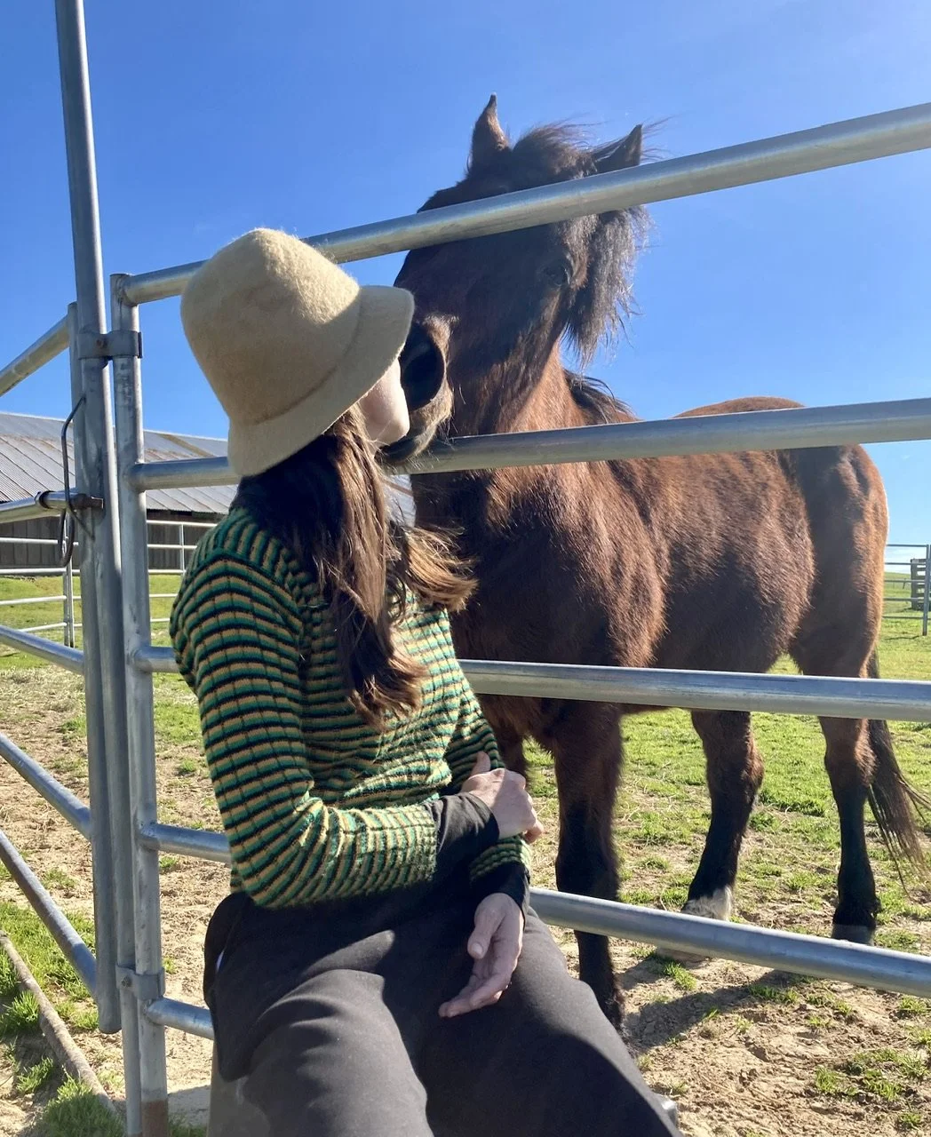 Vanessa Wolter participating in equine therapy with a horse