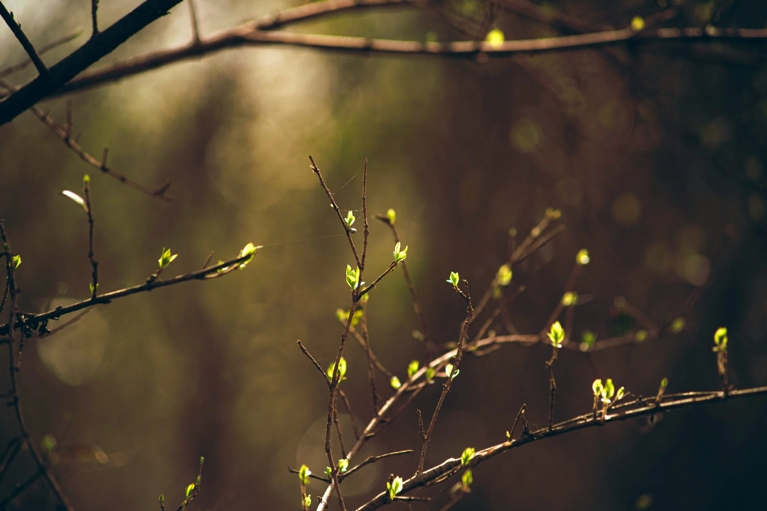 timothy-dykes-_y5OWTyIOHY-unsplash.jpg