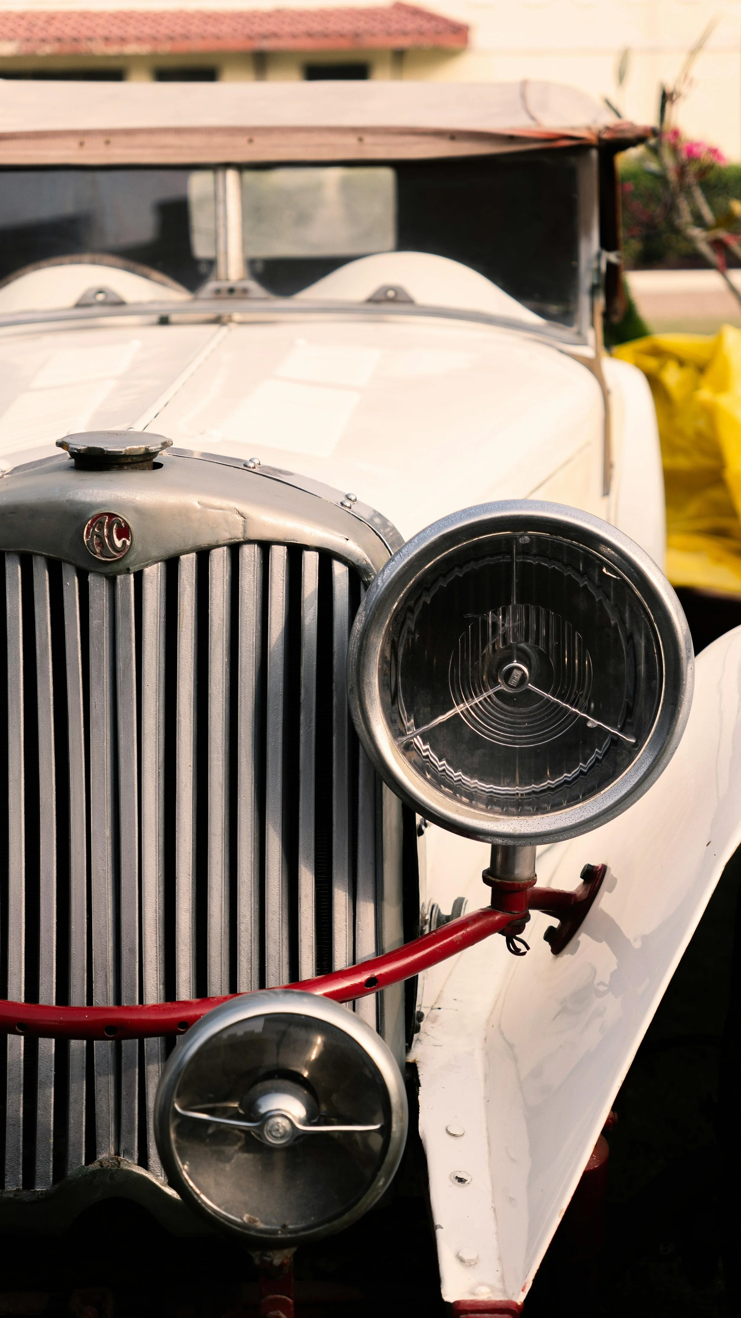 Vintage/Heritage Preservation