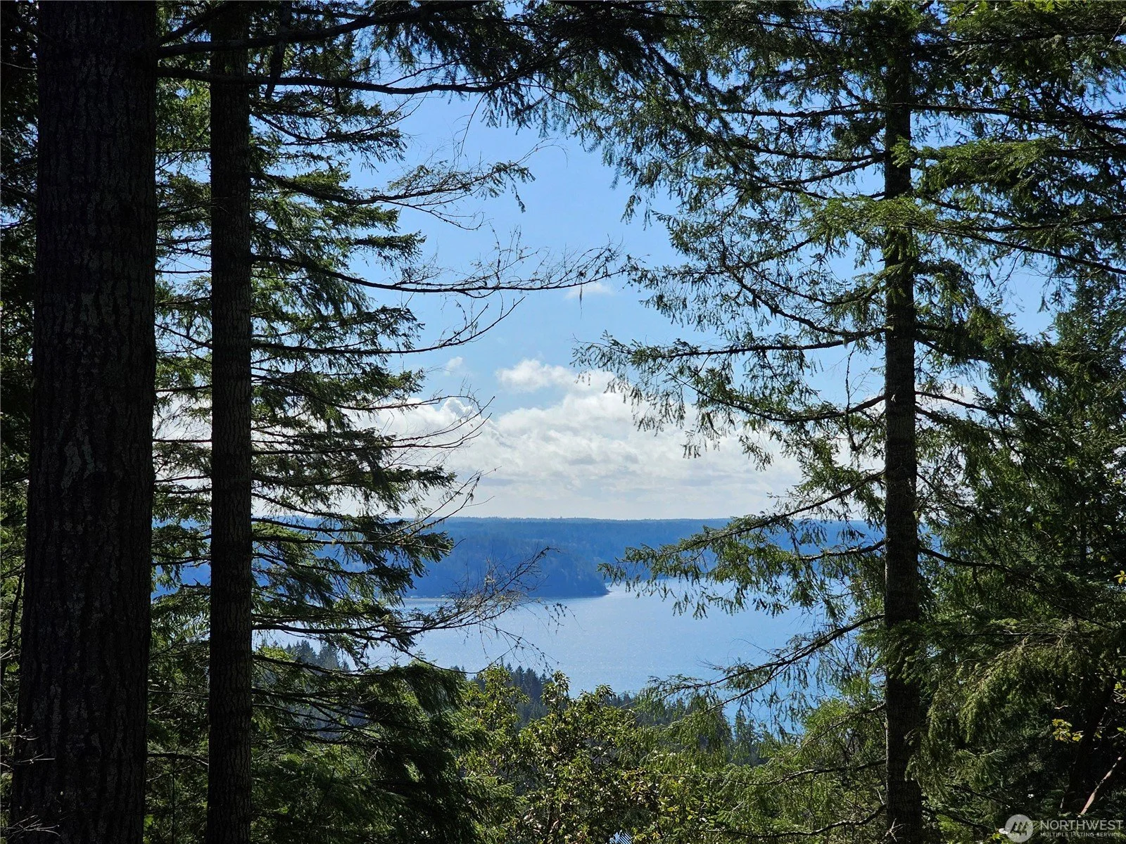 What Is It Actually Like to Live on Hood Canal Year-Round?