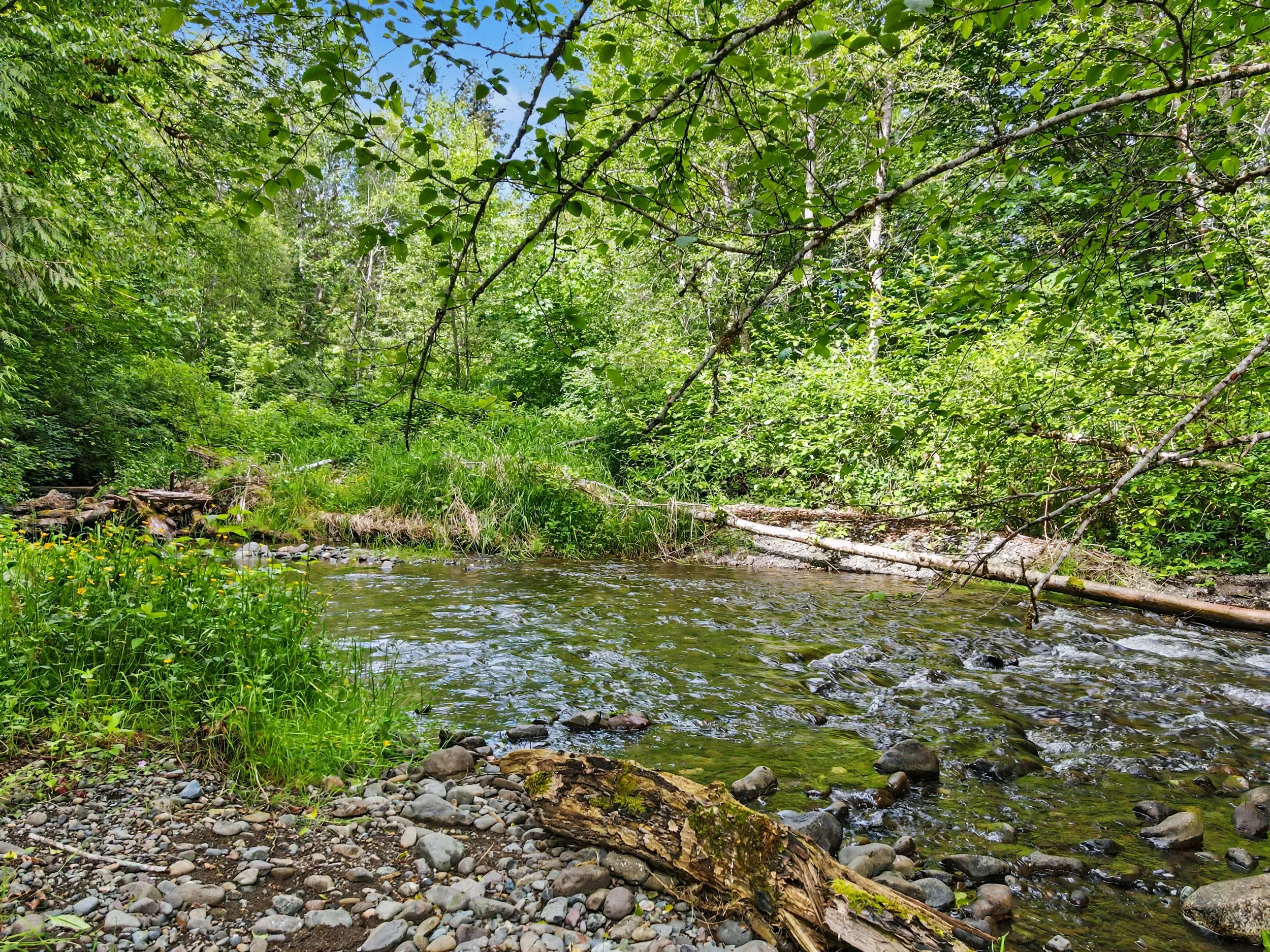 What Is Designated Forest Land, and What Happens If Nobody Reads the Fine Print?