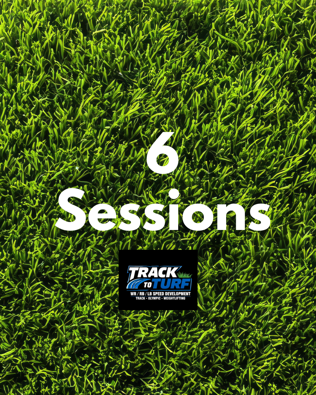 6 Sessions — Build the Habit