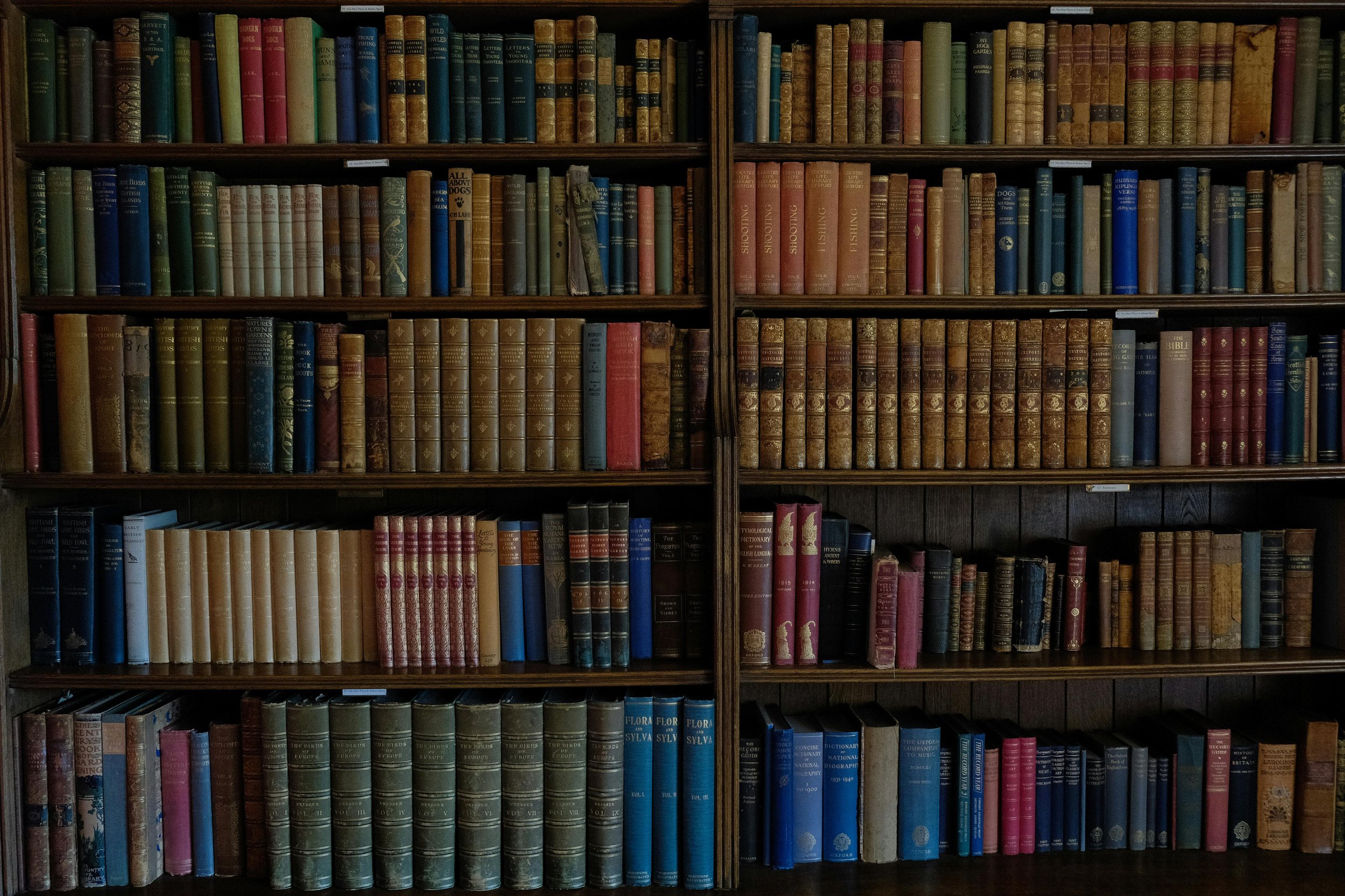 Kestrel Books
