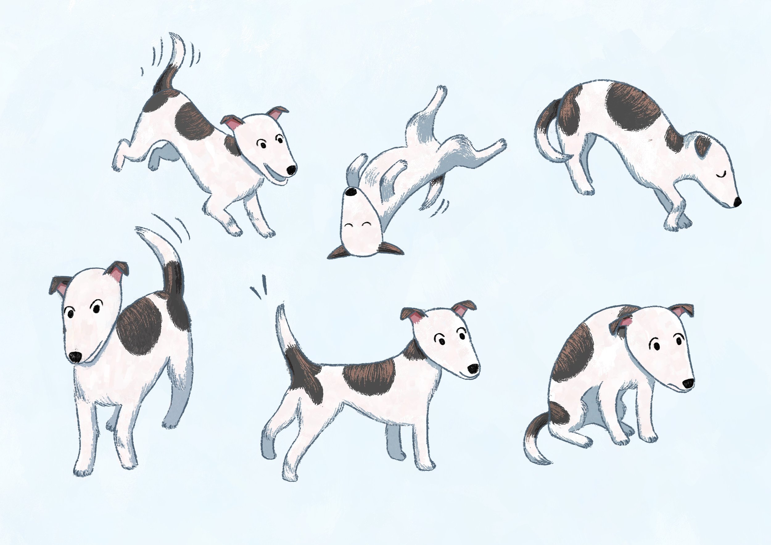 nd child - Dog.JPG