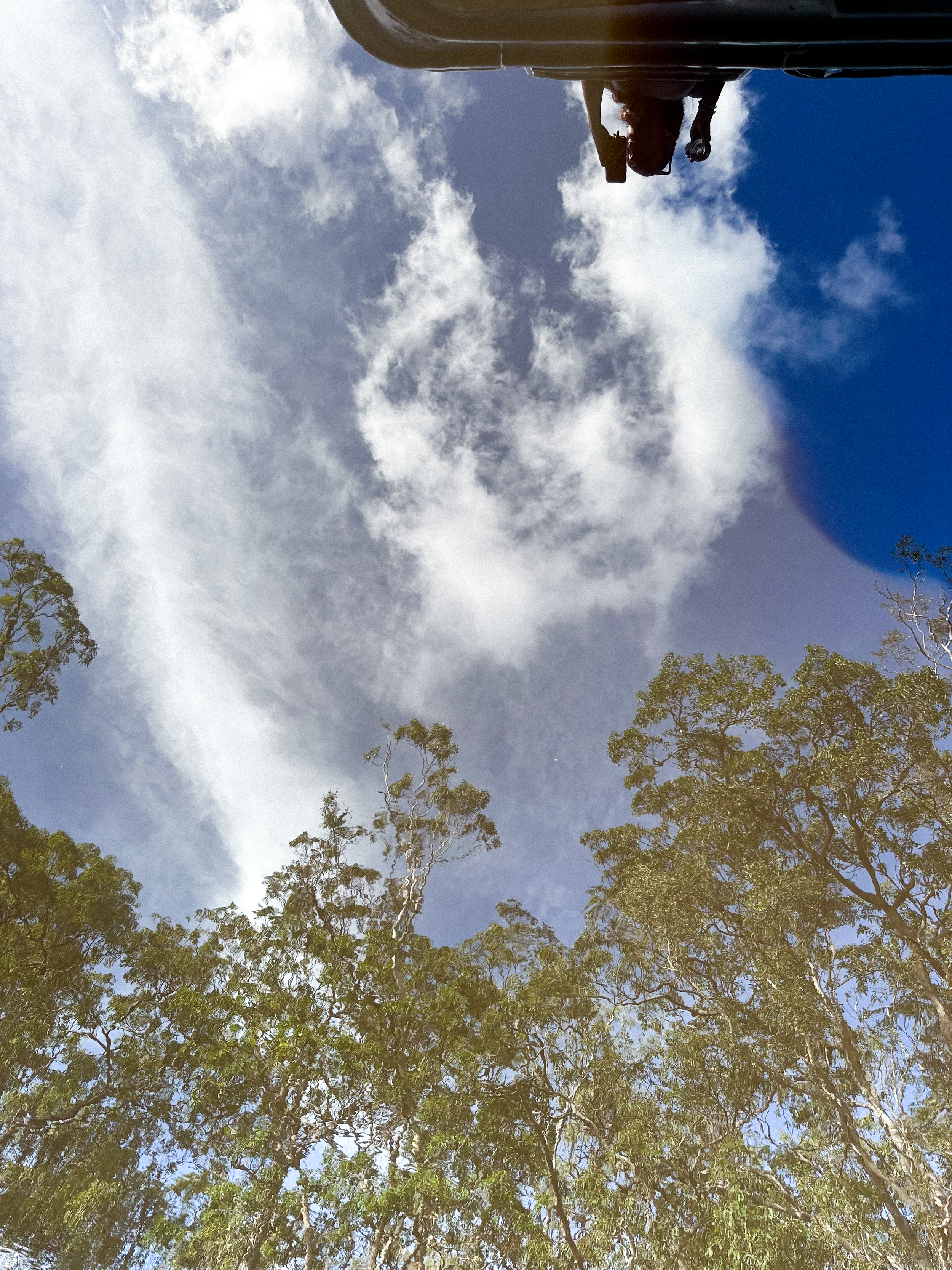 View of blue sky with some clouds, surrounded by trees with green leaves.