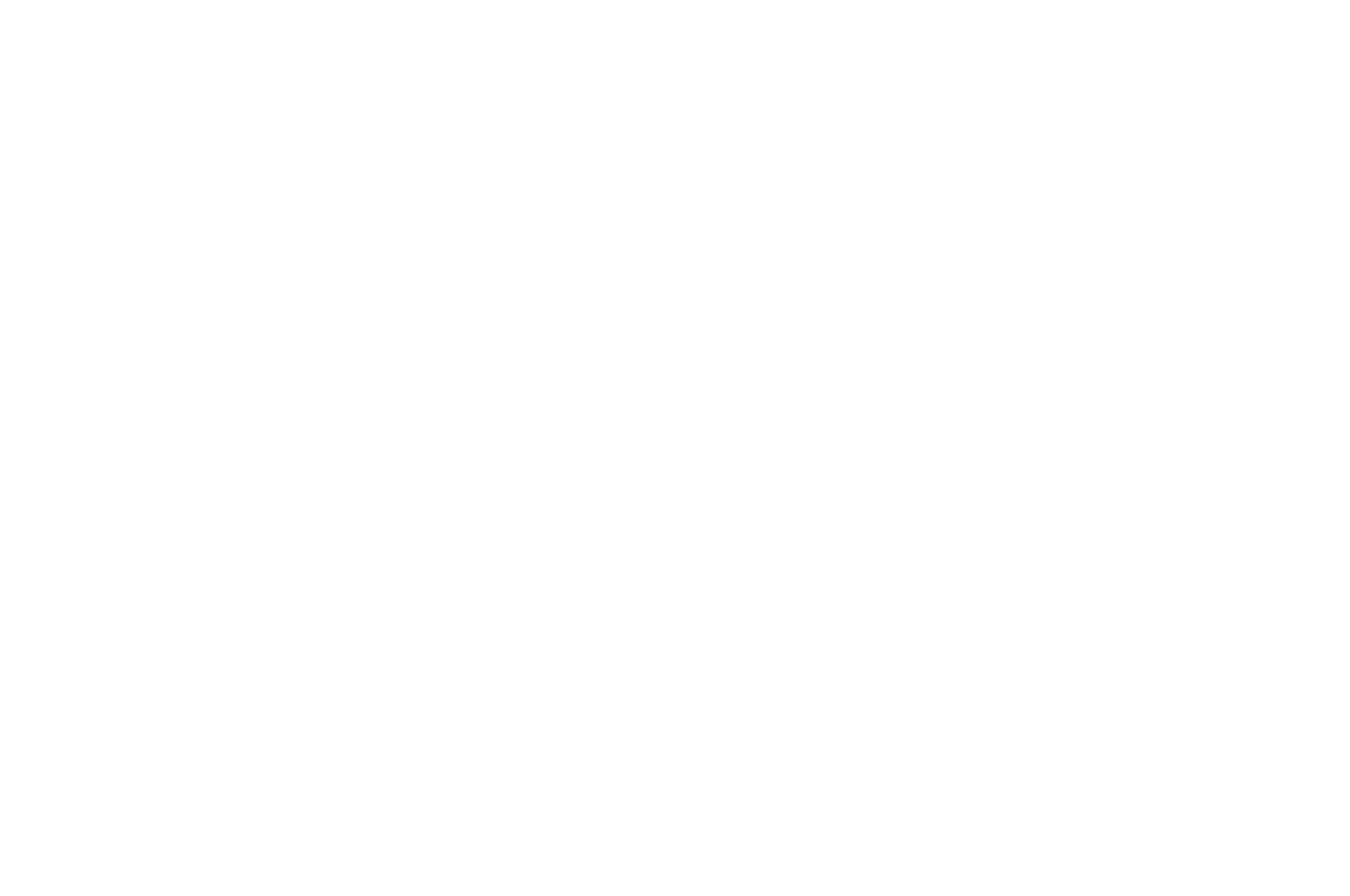Puerto-Aventuras-IFF-BEST-VISIONARY-DIRECTOR-MUSIC-VIDEO-2024_White.png