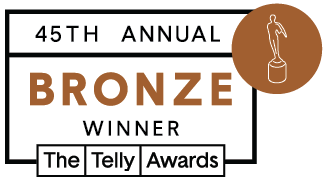 Telly_45th_Winners_Badges_bronze_winner.png