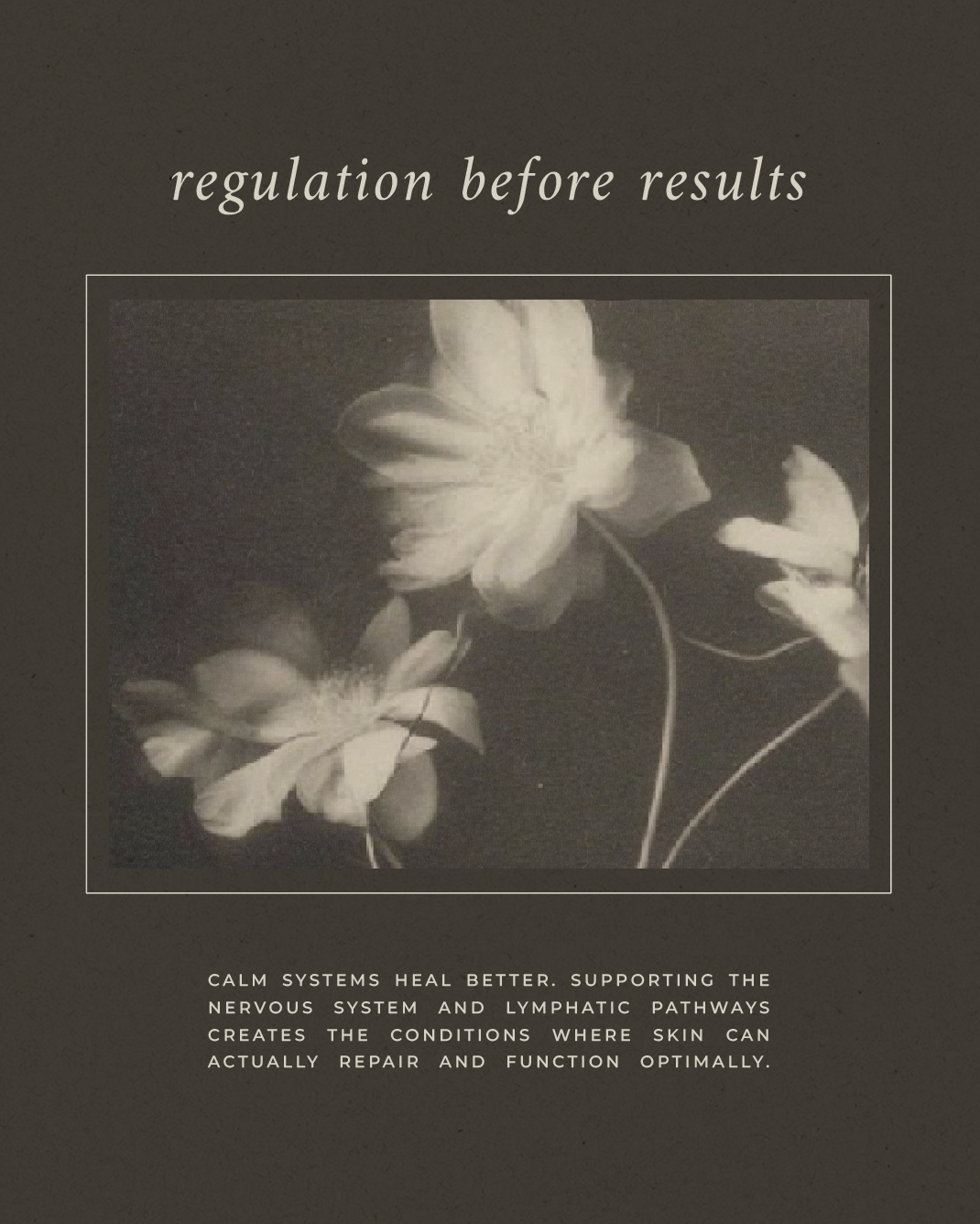 Social post of a monochrome photo of a blooming flower with the text 'regulation before results' above it, and a paragraph below explaining health benefits of supporting the nervous system and lymphatic pathways for skin repair and optimal function.