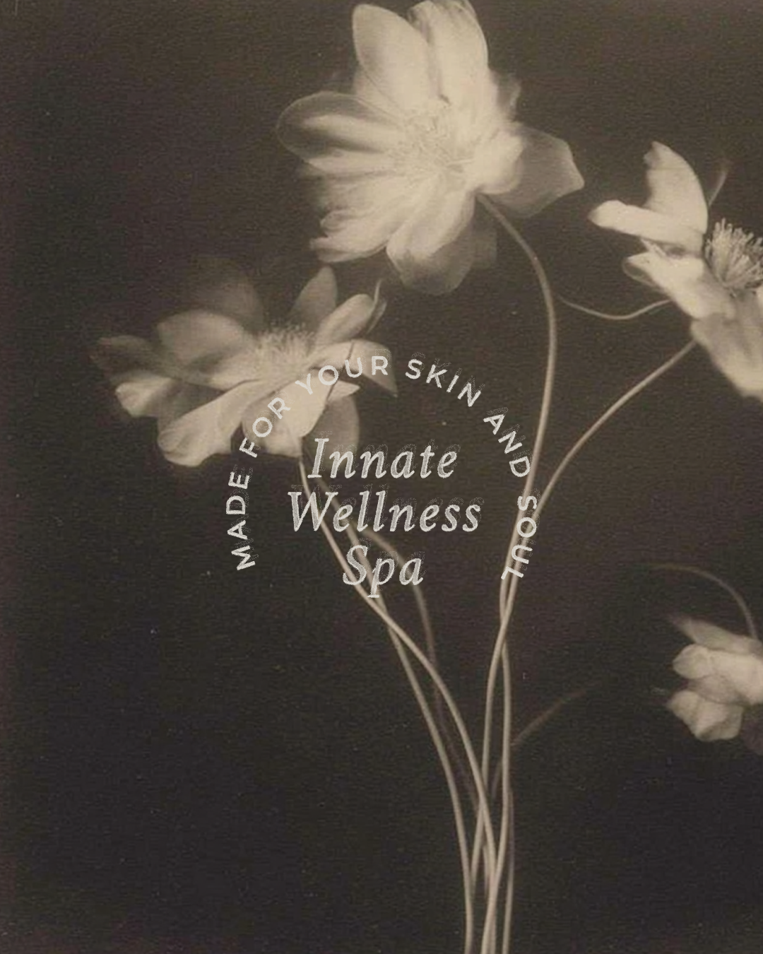 Sepia photo of flowers with overlaid text promoting Innate Wellness Spa, stating it is made for your skin and soul.