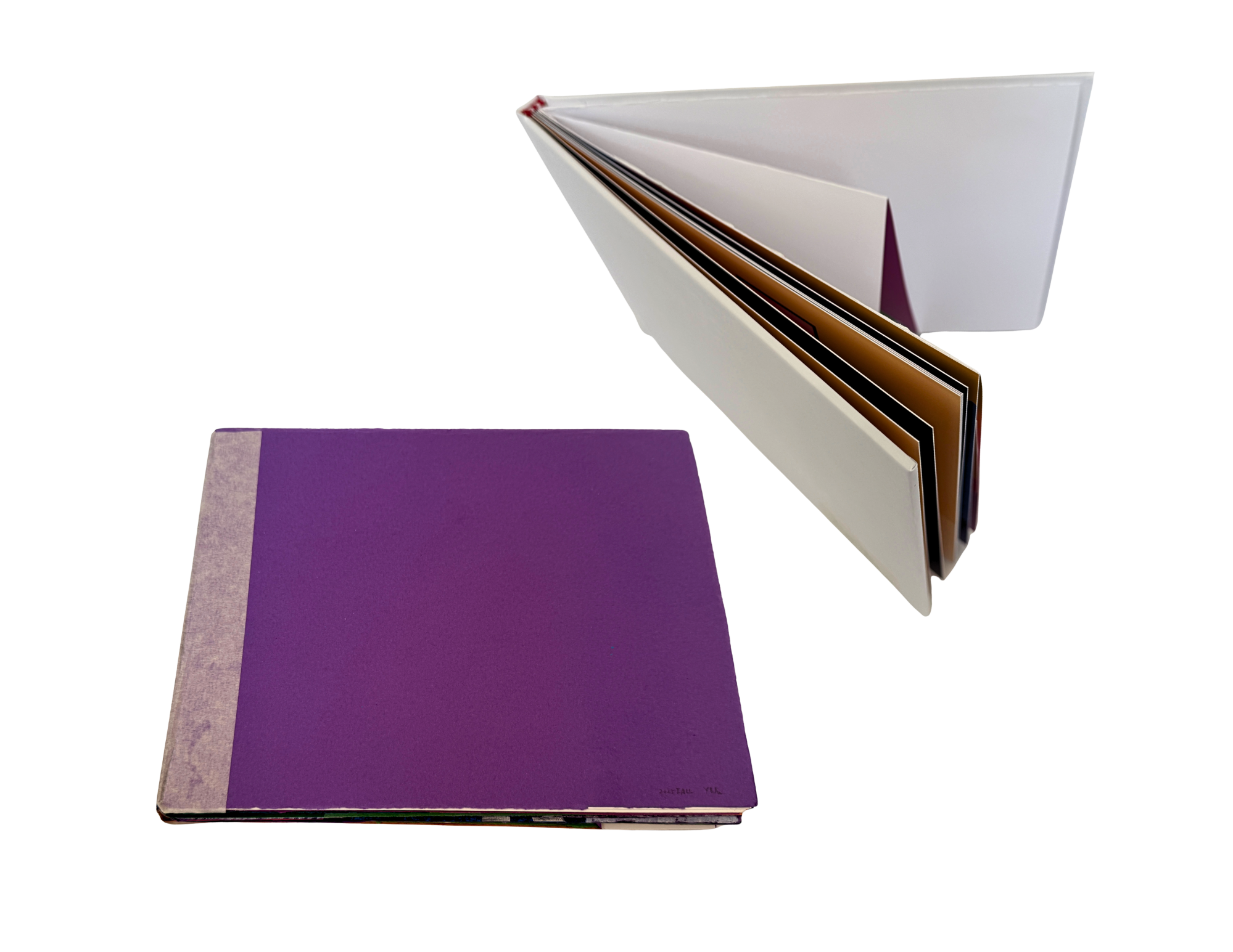 Untitled Design - 1 - Edited.png