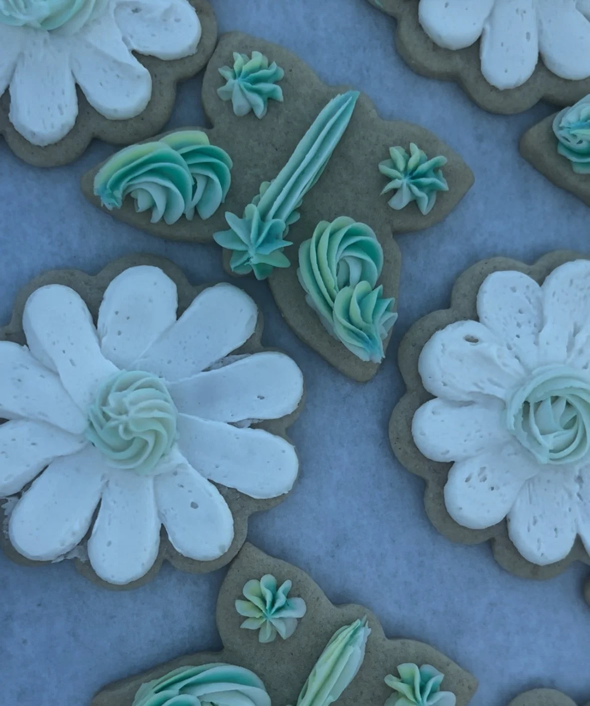 Decorated Sugar Cookies