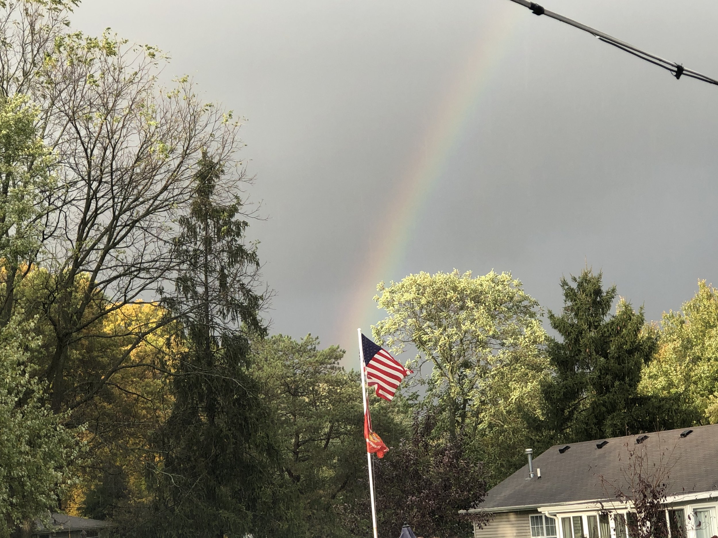 INSTITUTIONAL HONORS PROGRAM