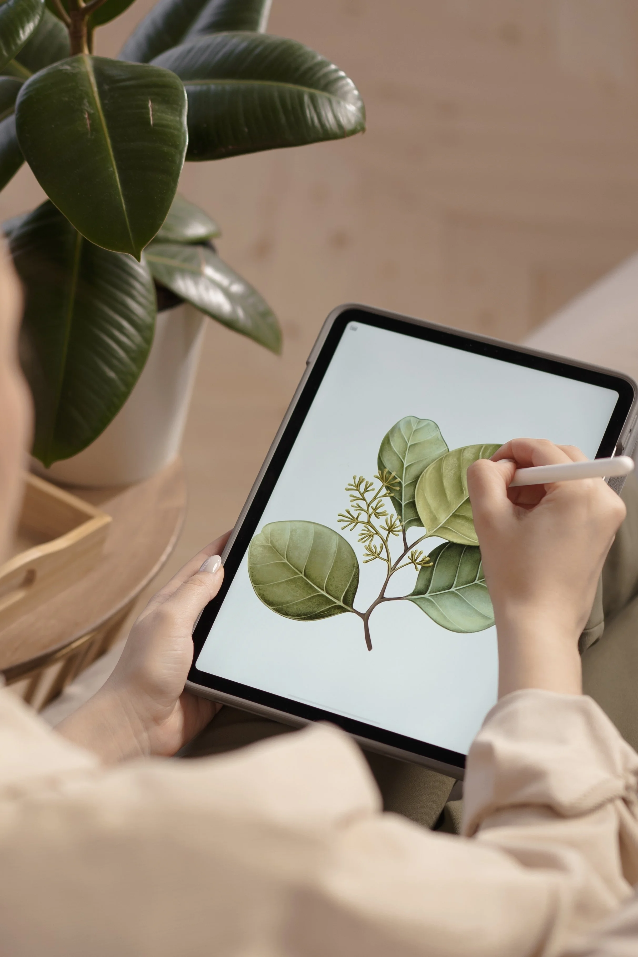 Person drawing a botanical illustration of green leaves on a tablet, with a potted plant nearby.