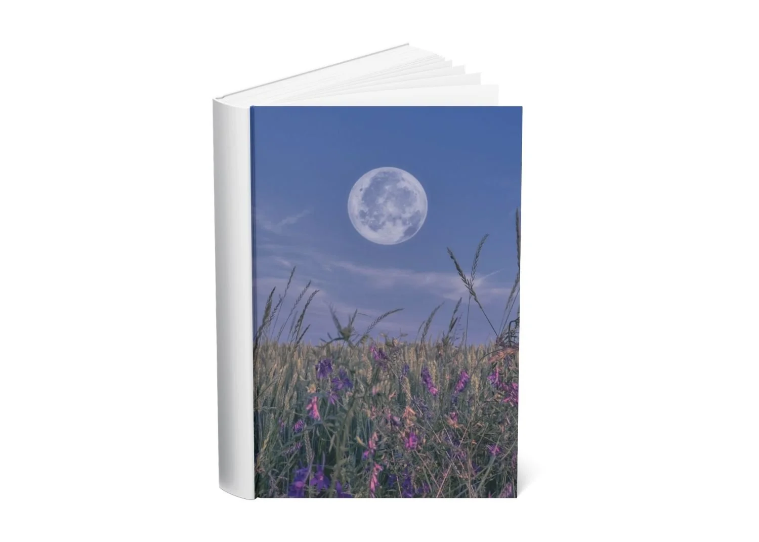 A book with a cover image of a full moon in a night sky above a field with tall grass and purple flowers.