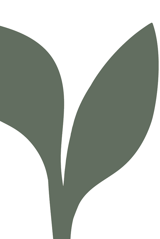 Illustration of a simplified plant with three green leaves.