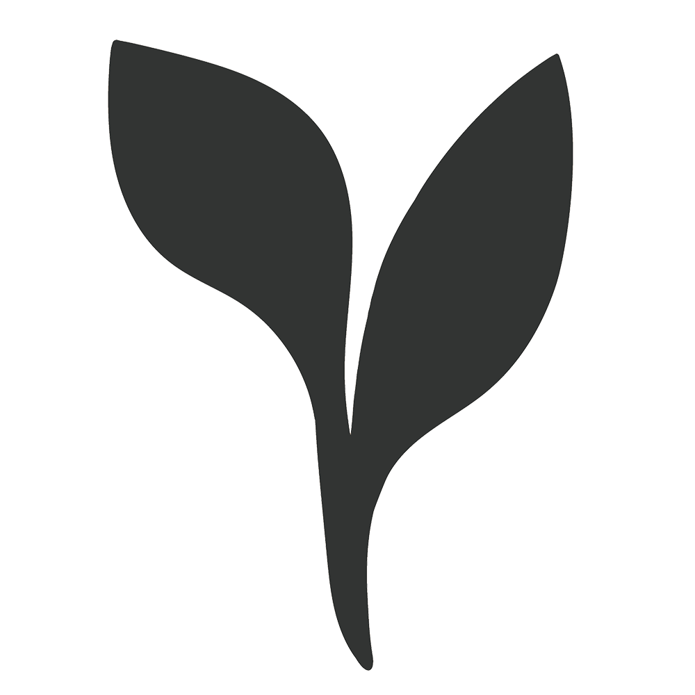 A minimalist black icon of a plant with two leaves.