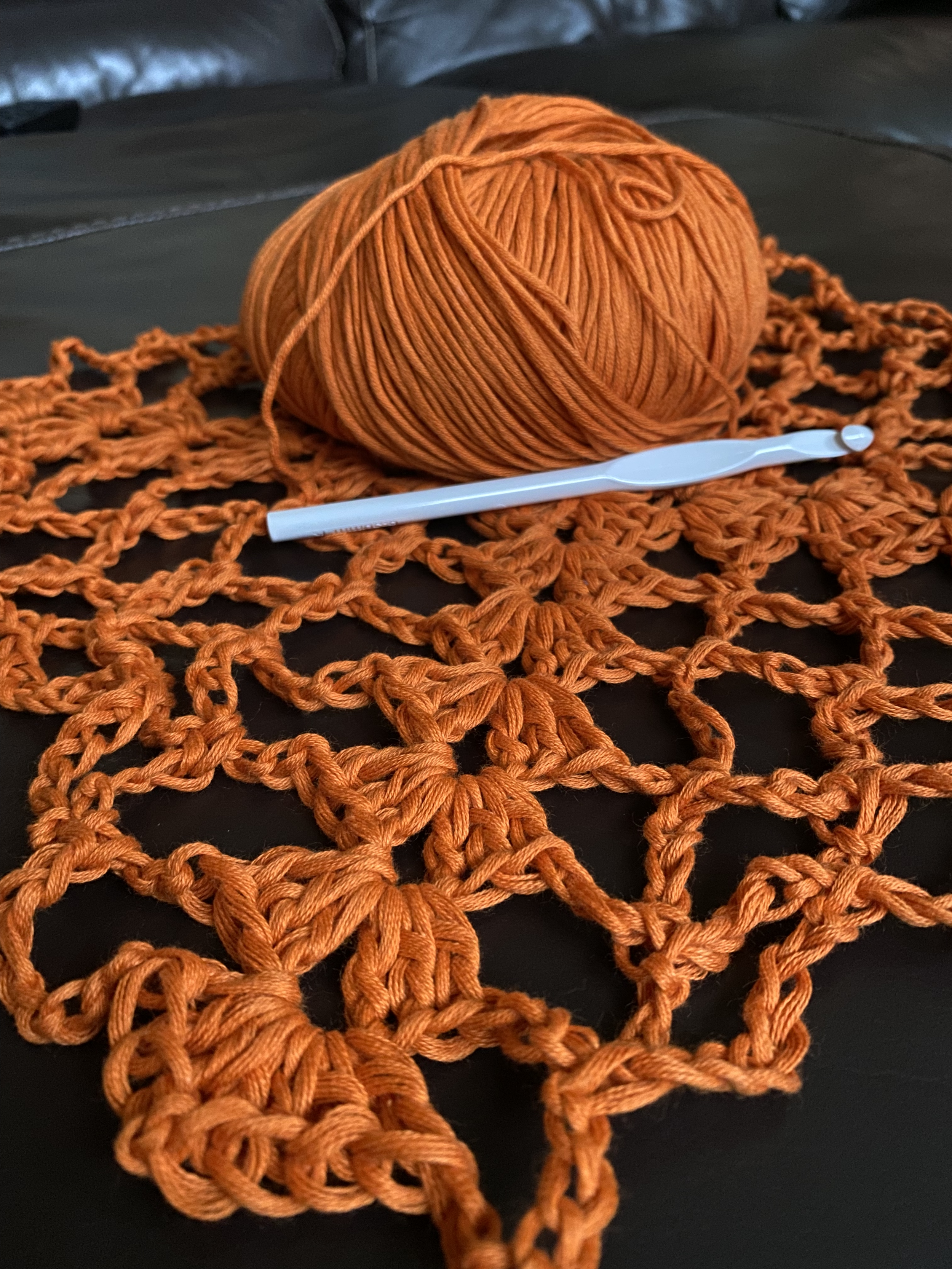 Pattern Testing

Every stitch begins with possibility. This cotton yarn was used to test a fellow designer's cover-up pattern, celebrating creativity, collaboration, and the artistry of crochet.