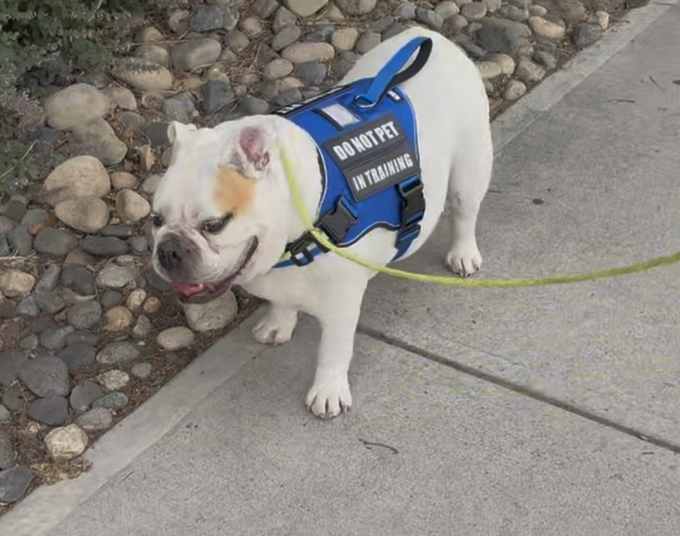 Bubba's Story