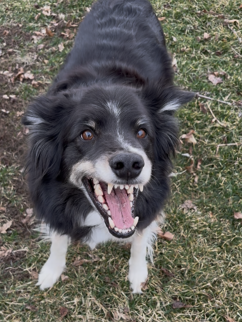 The MacKay Way — The Rehabilitation Program