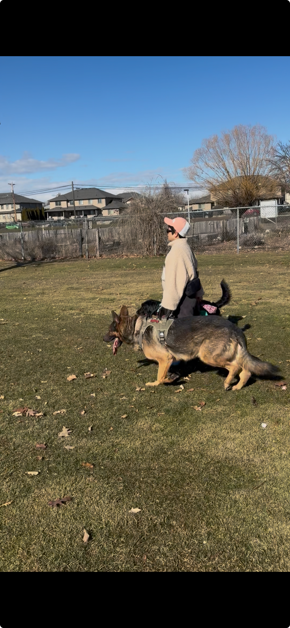 The MacKay Way — The Urban Citizen Program