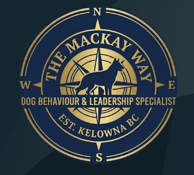 The MacKay Way — The Good Citizen Program Canada's Canine Good Neighbour (CGN) Program: