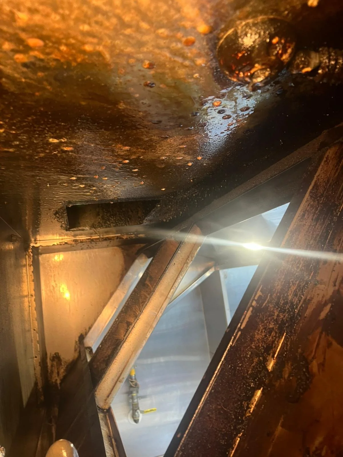 WhatsApp Image 2026-04-17 at 11.29.34 AM.jpeg