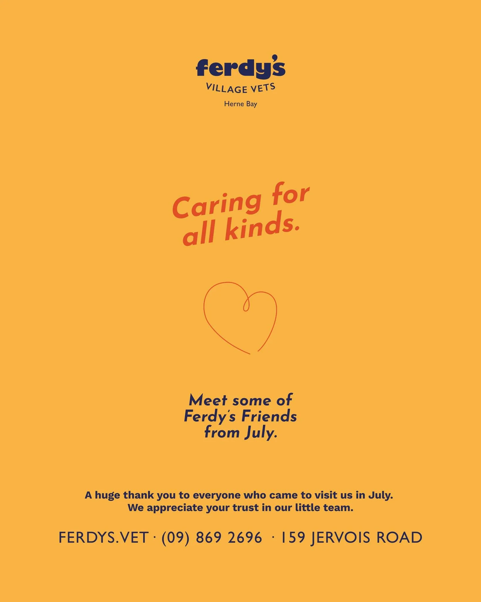 A huge thank you to everyone who's visited our new little clinic on Jervois Road since we've (re)opened the space in July. We look forward to making more friends!