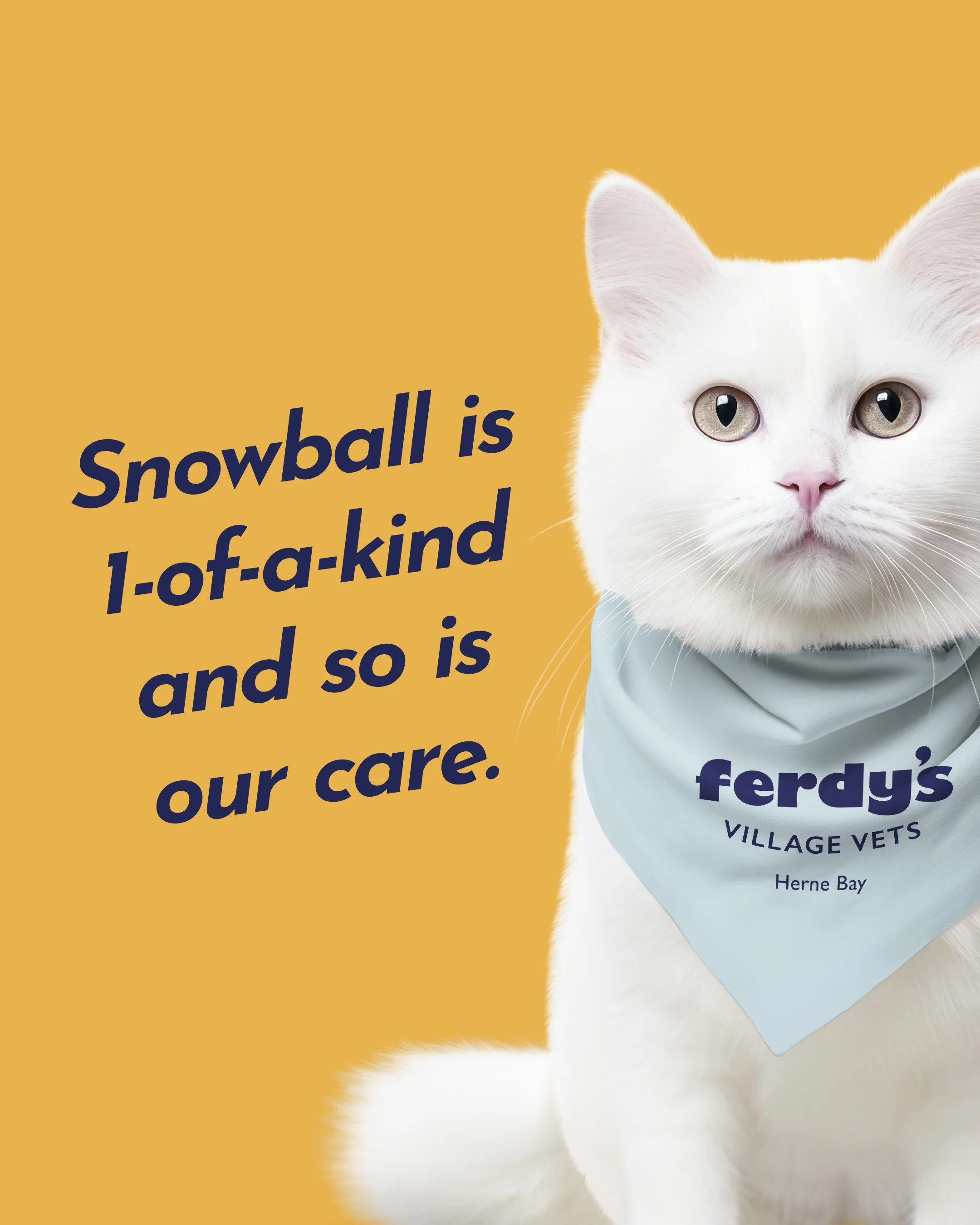 A new vet in Herne Bay is now open. No two pets are quite the same, so neither is our care &mdash; we take the time to get to know every pet who visits, like Snowball.

Register at ferdys.vet (link in bio).

#HerneBay #AucklandVet #Ponsonby #CatsOfAu