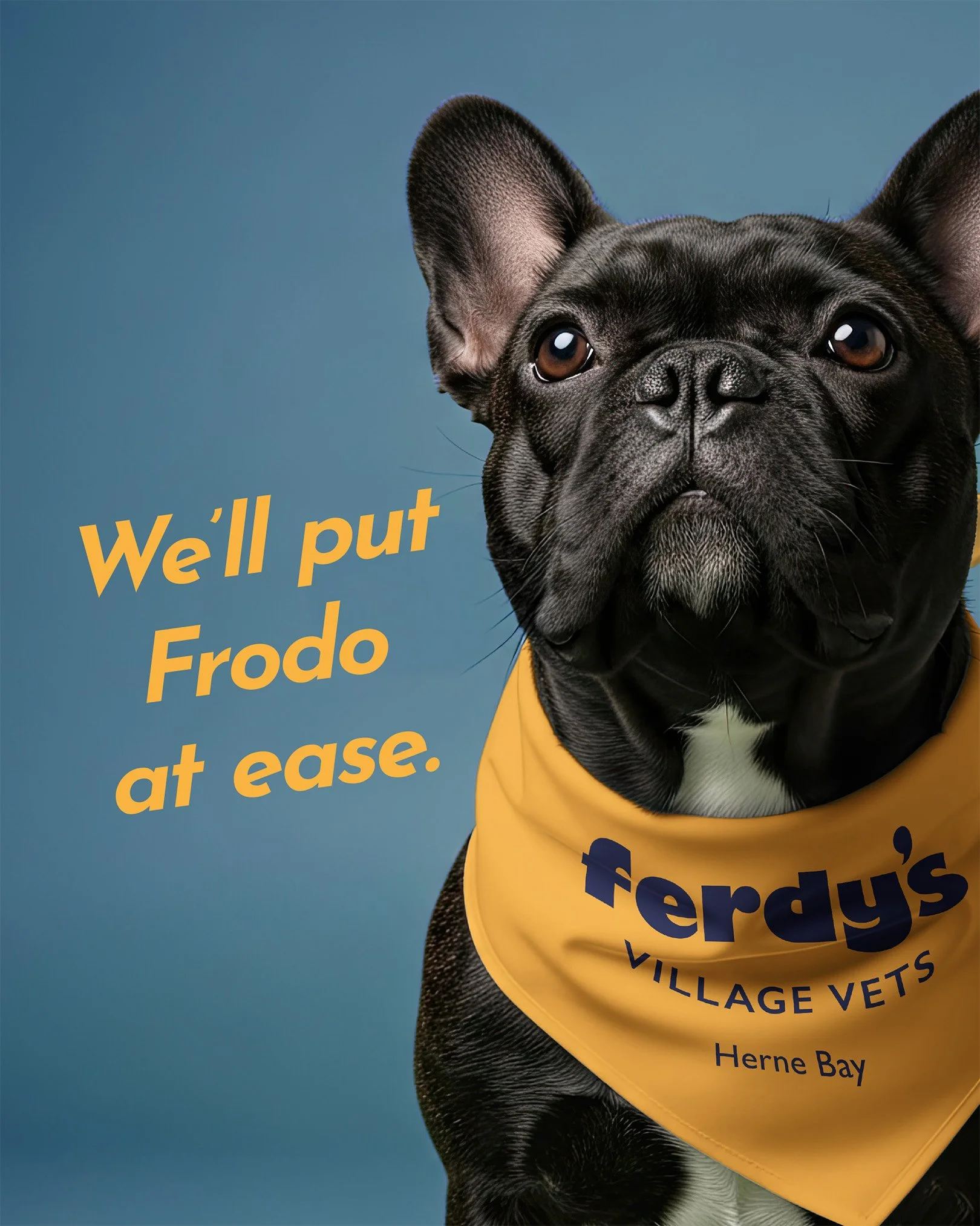 There's a new vet in Herne Bay, and we're now open. Some pets find the vet a little daunting, and that's okay &mdash; we go at your pet's pace, so friends like Frodo feel at ease.

Register at ferdys.vet (link in bio).

#HerneBay #AucklandVet #Ponson