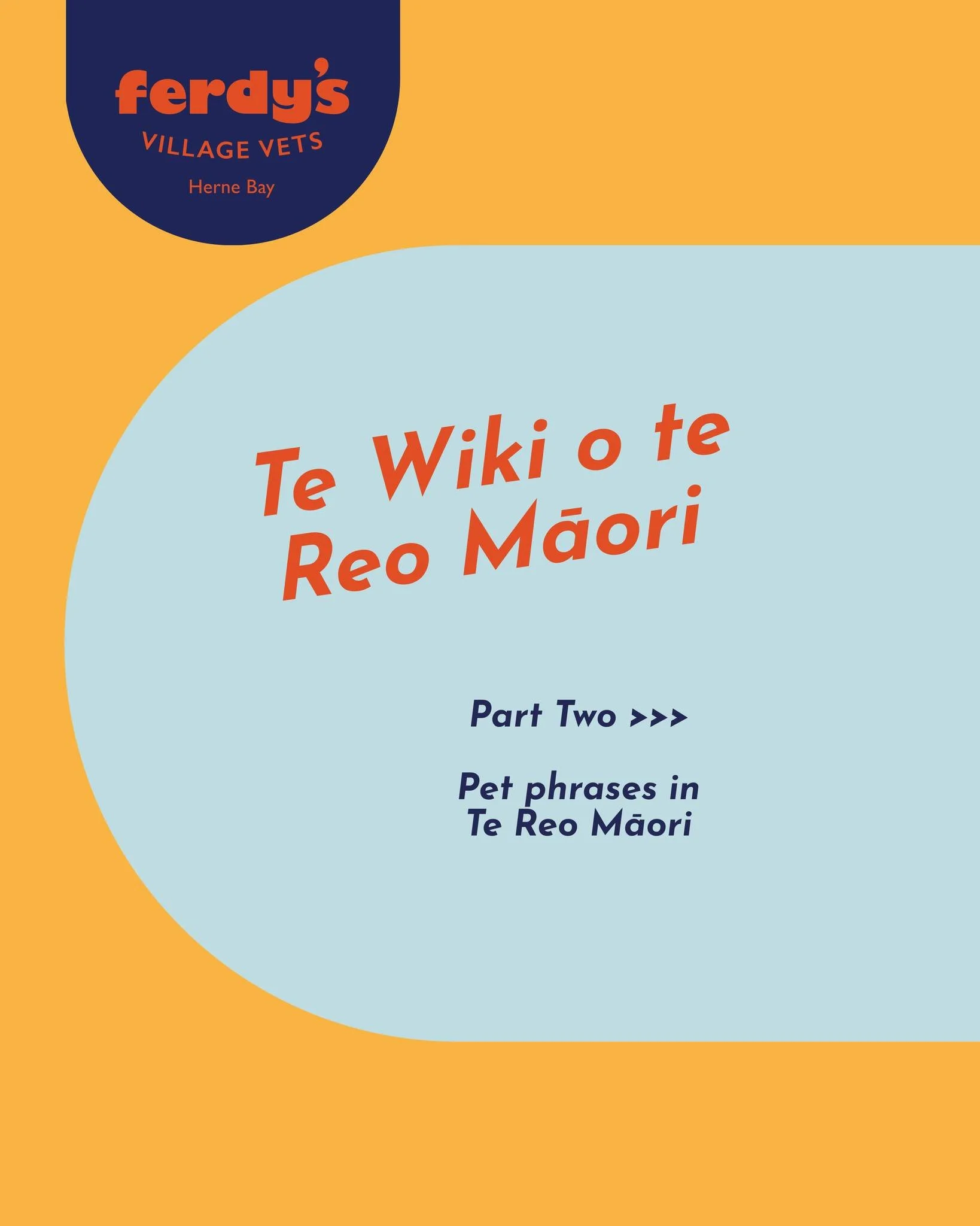 Harikoa Rāapa! ✨
Te Wiki o te Reo Māori continued, with some common phrases for your pets! 🐾