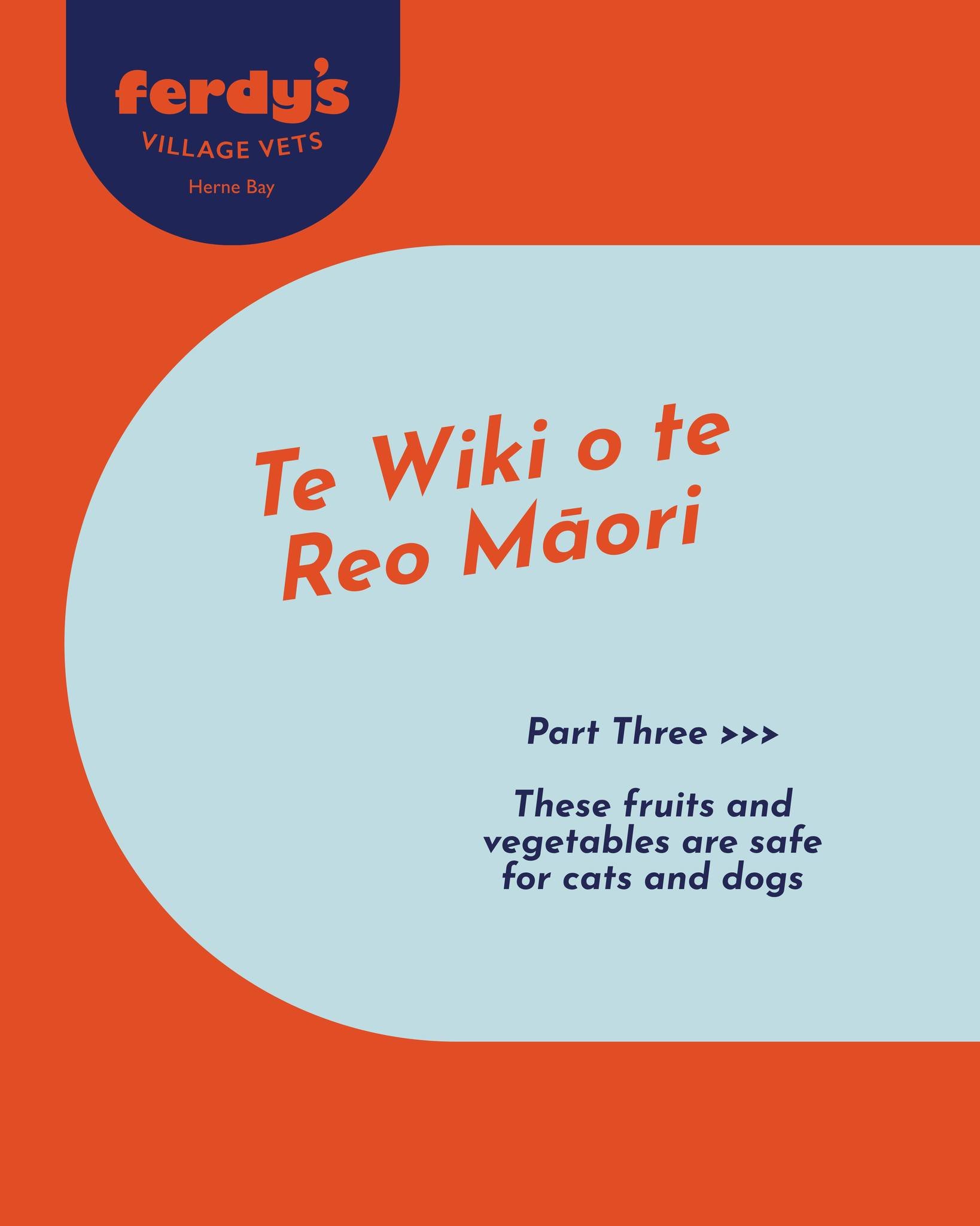 Wrapping up Māori language week with some pet safe fruits and vegetables, to treat your fur babies to this weekend! 🥕🥒🫛🫐🍎🍉🍌