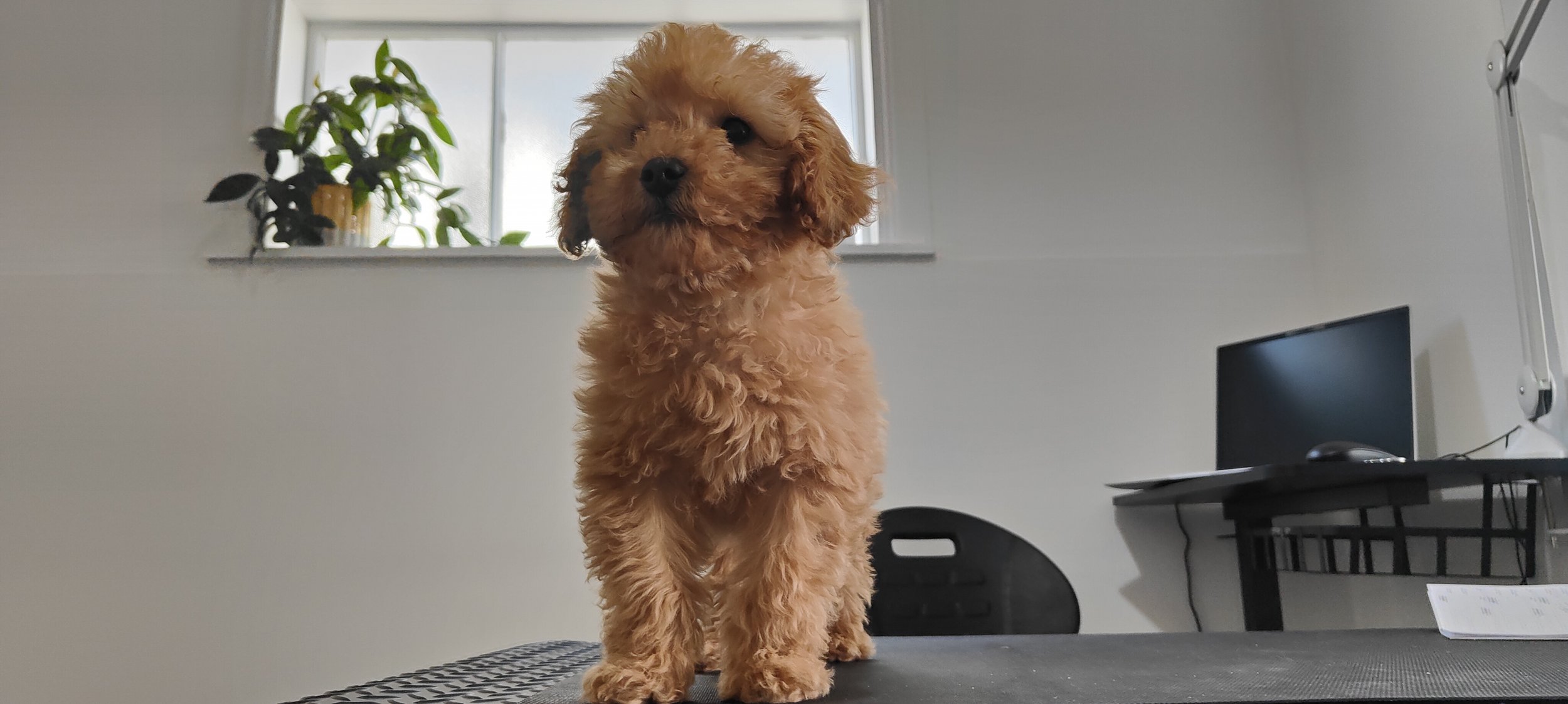 George (2).jpg