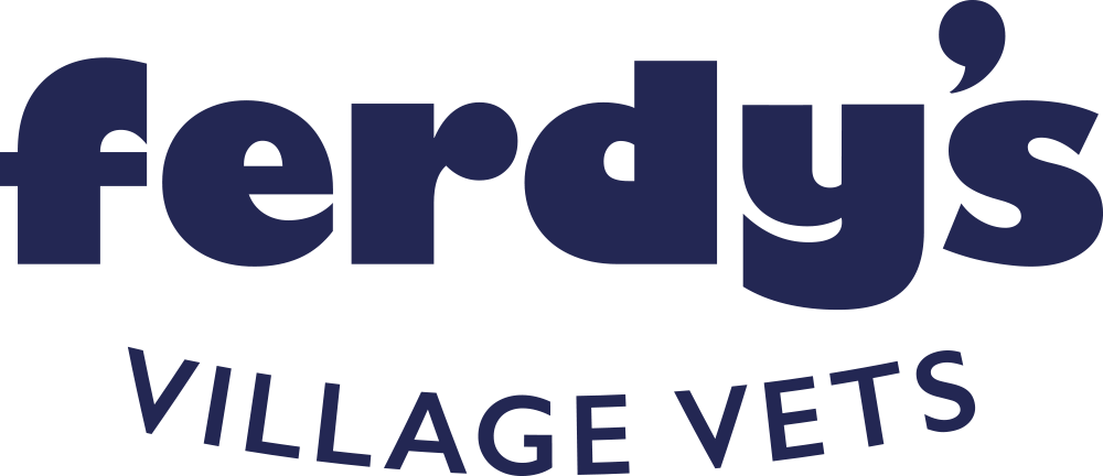 ferdy’s village vets