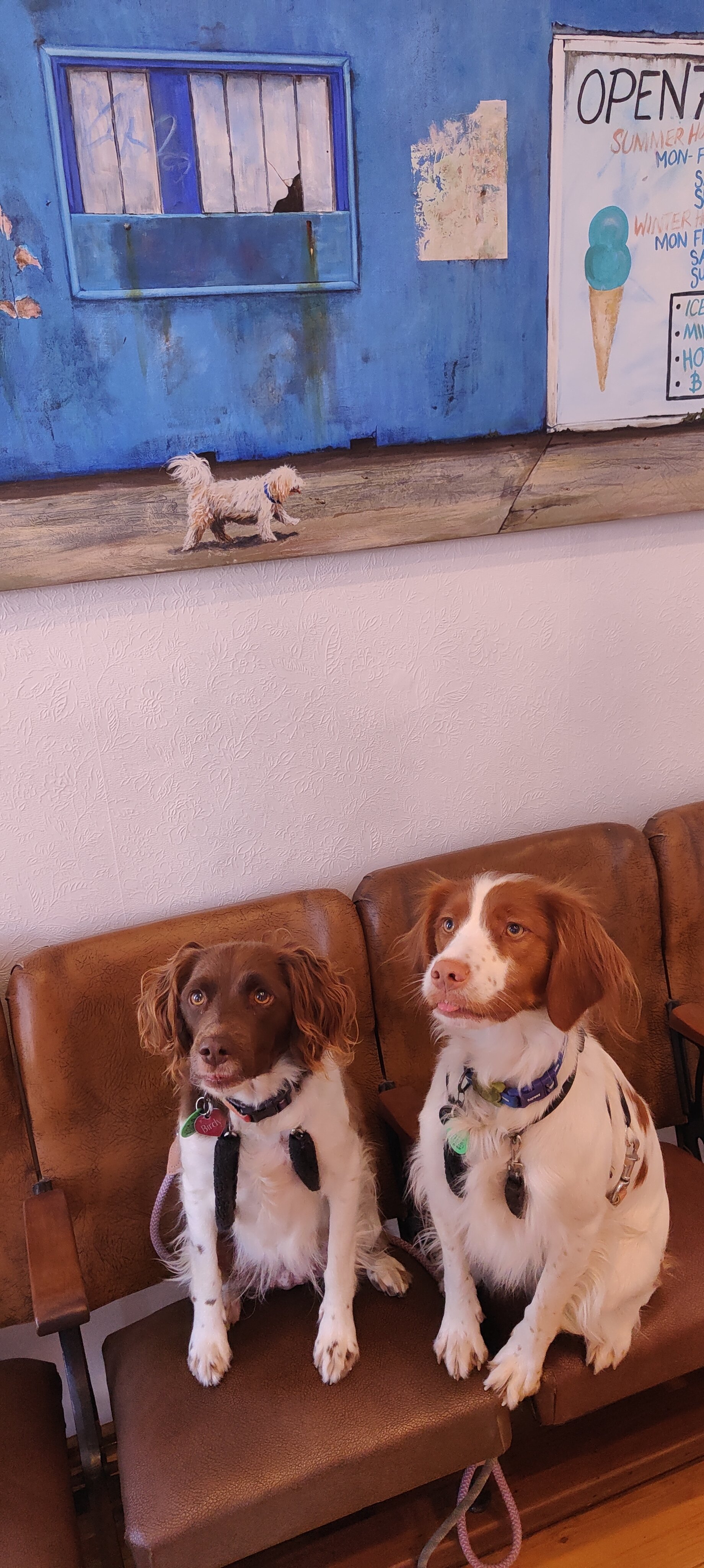 Birdy and Cilla.jpg
